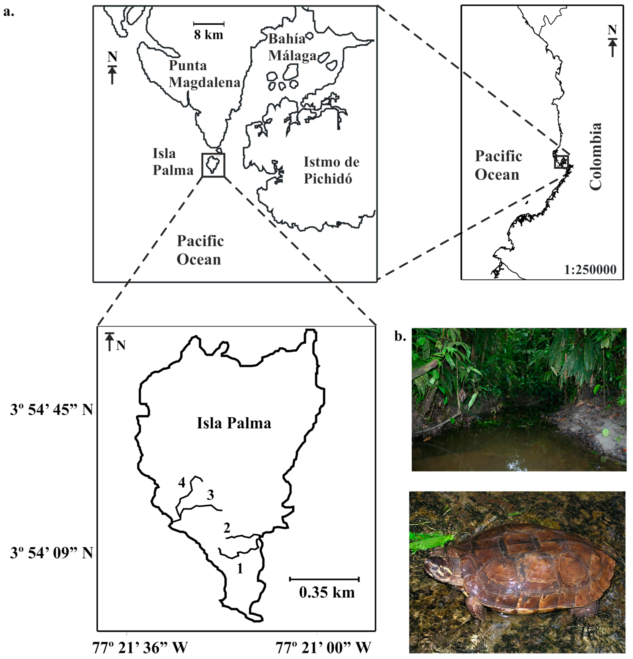 Diversity 11 00097 g001