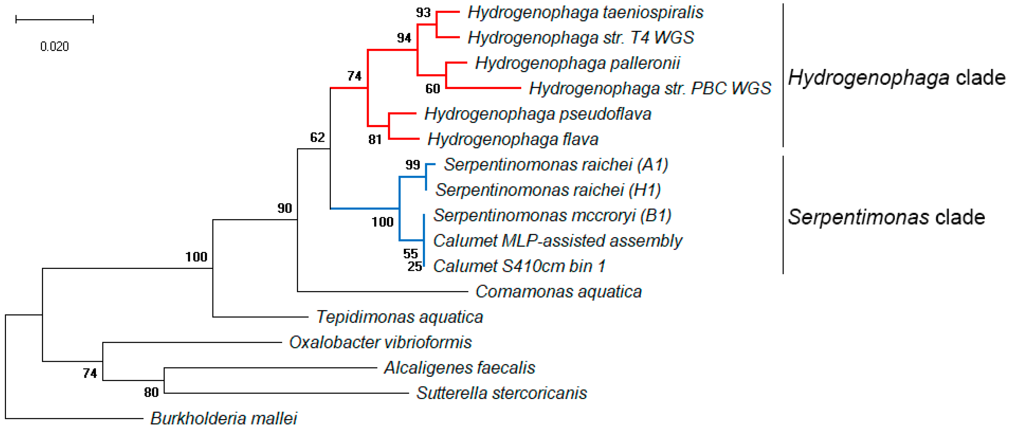 Diversity 11 00103 g008