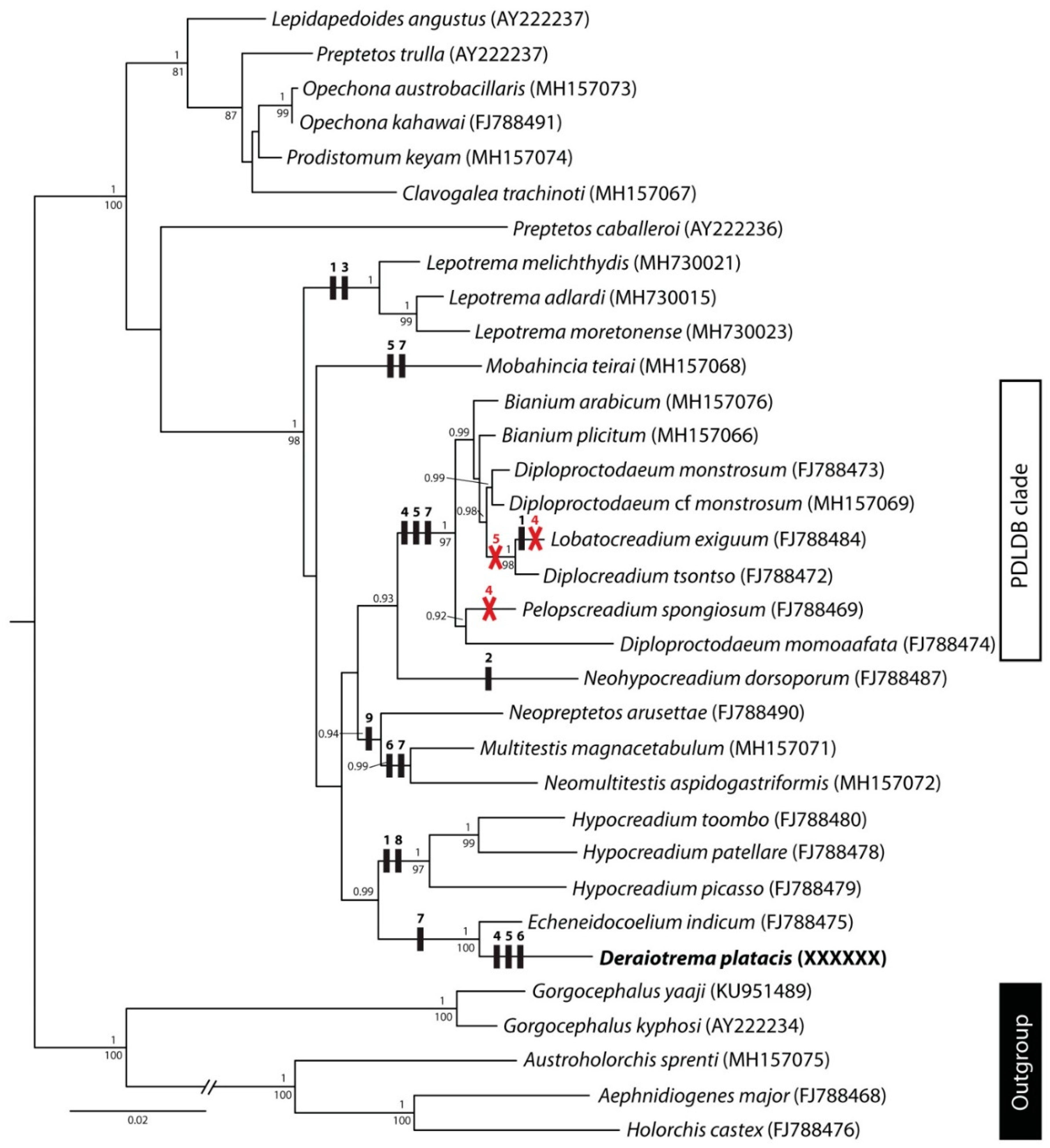 Diversity 11 00104 g002