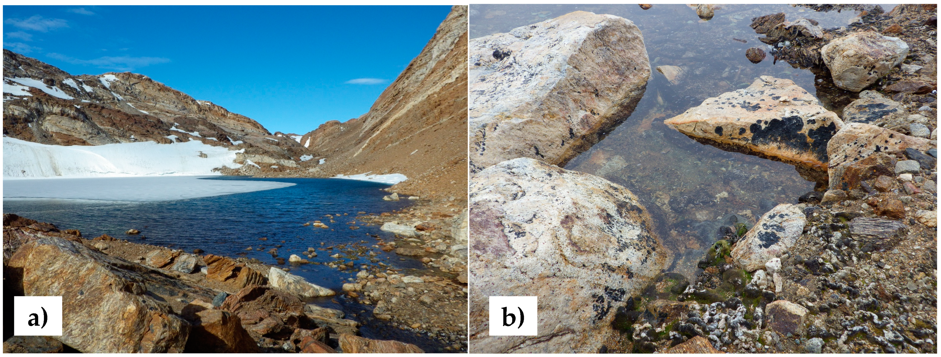 Diversity 11 00105 g001