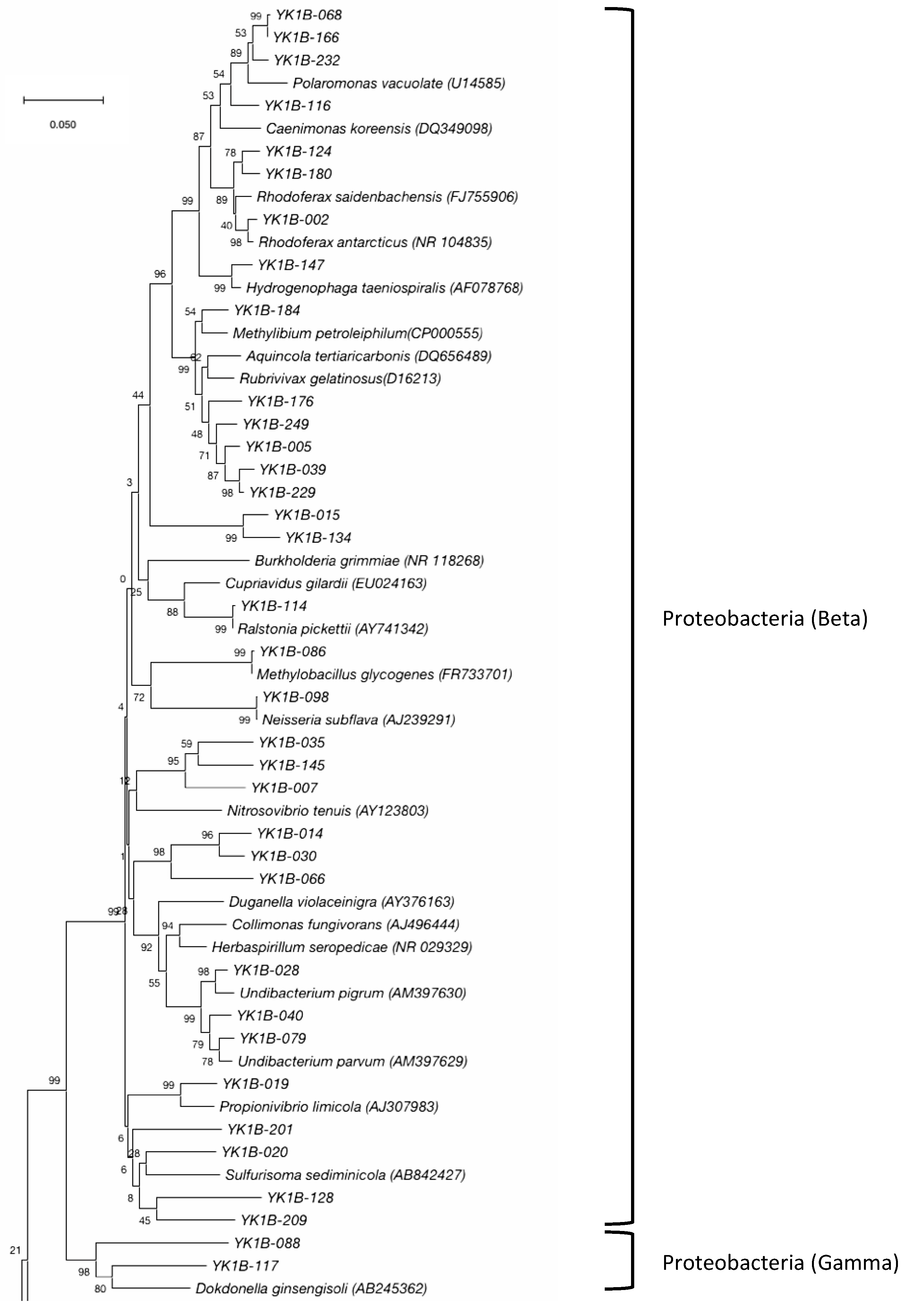 Diversity 11 00105 g005
