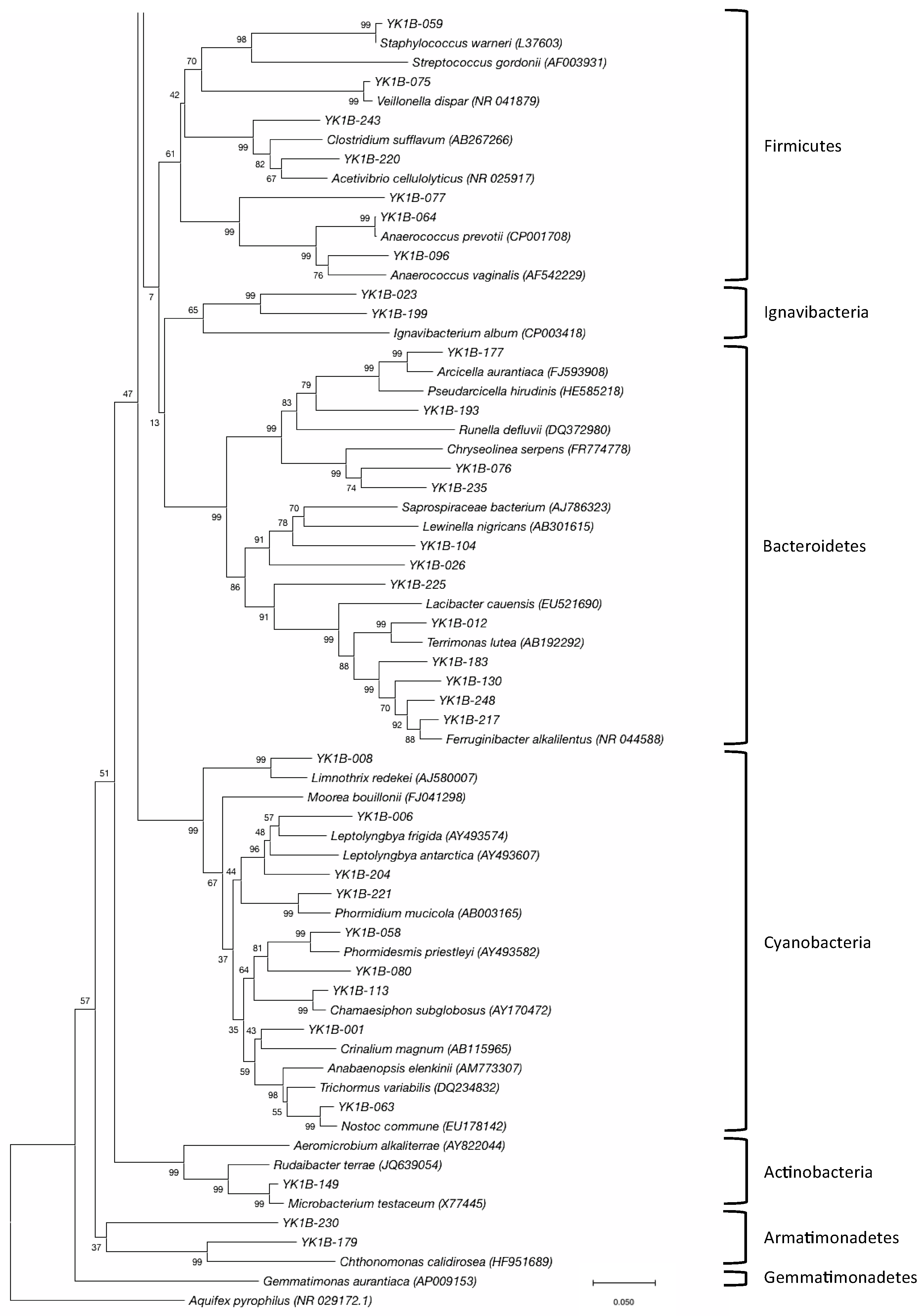 Diversity 11 00105 g007