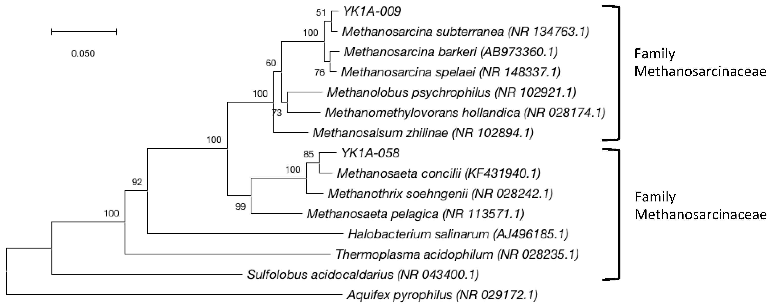 Diversity 11 00105 g008