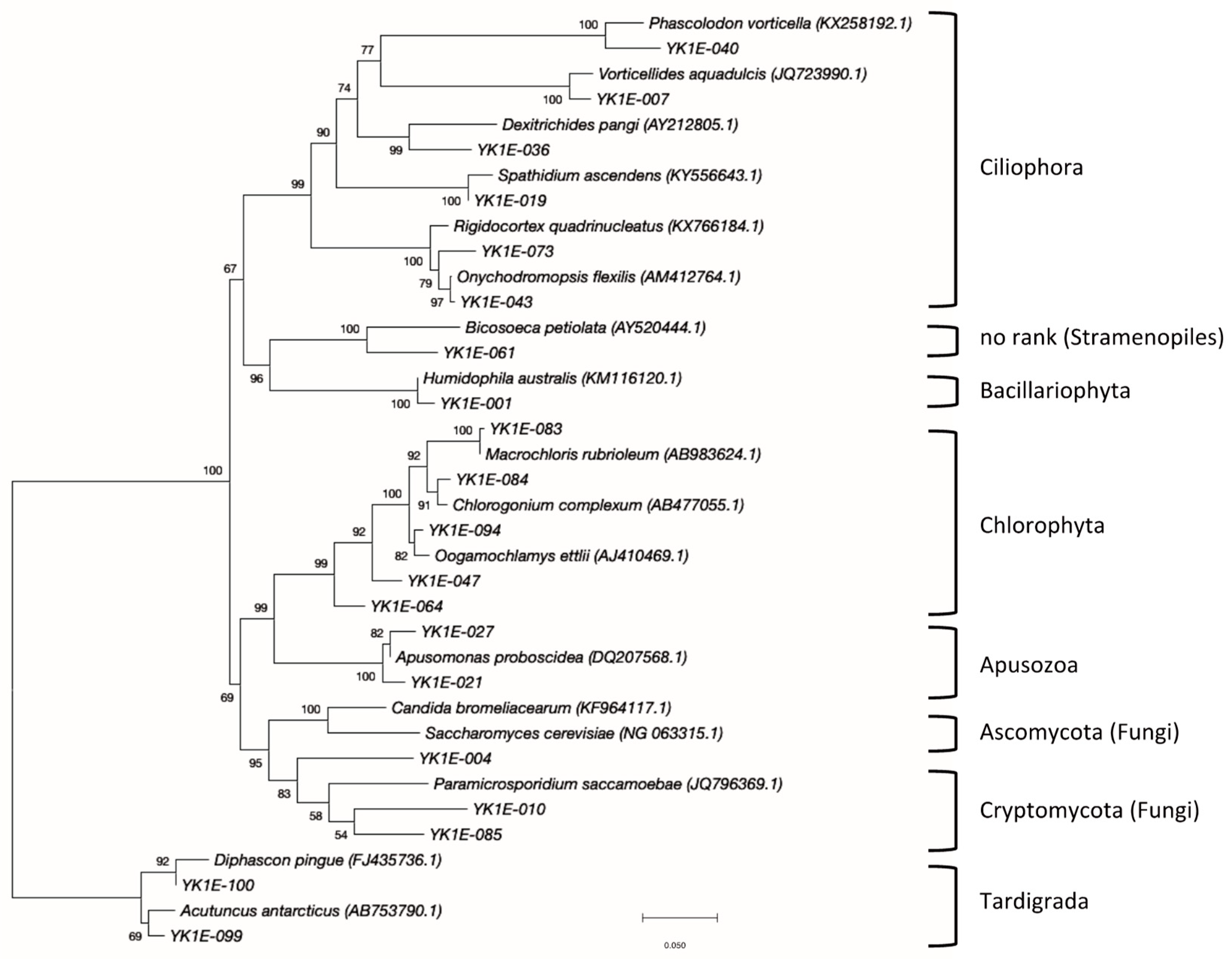 Diversity 11 00105 g009