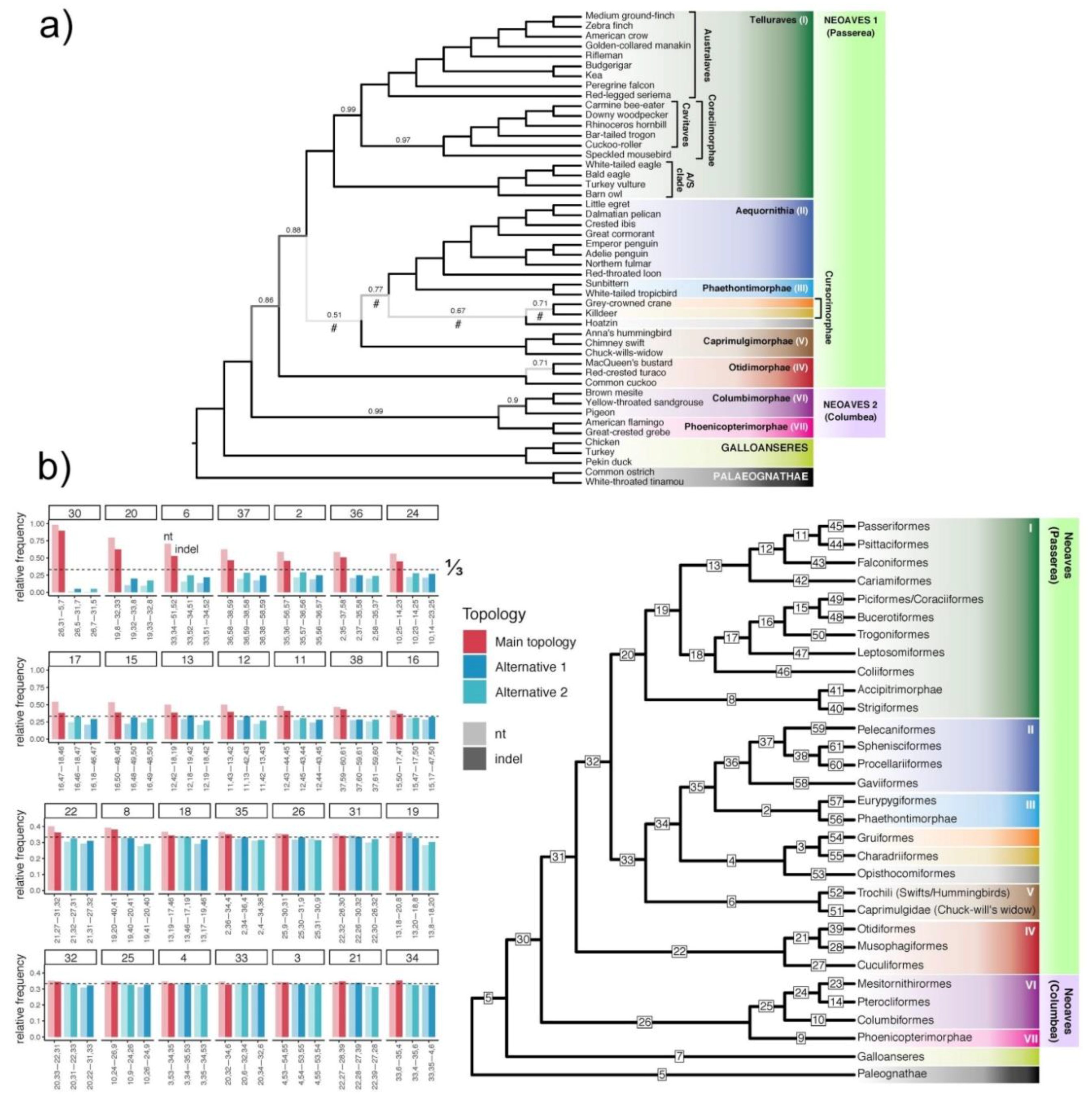Diversity 11 00108 g007 Diversity 11 00108 g007