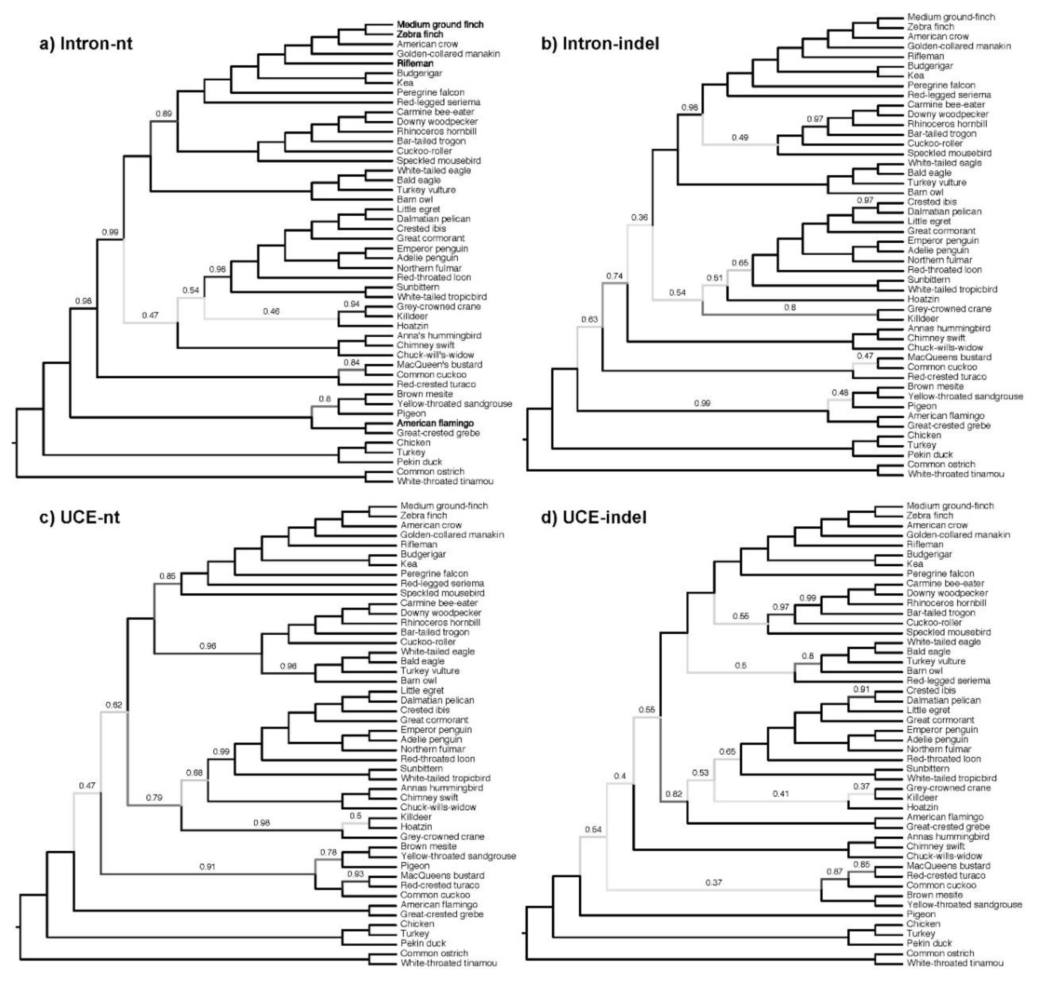 Diversity 11 00108 g008 Diversity 11 00108 g008