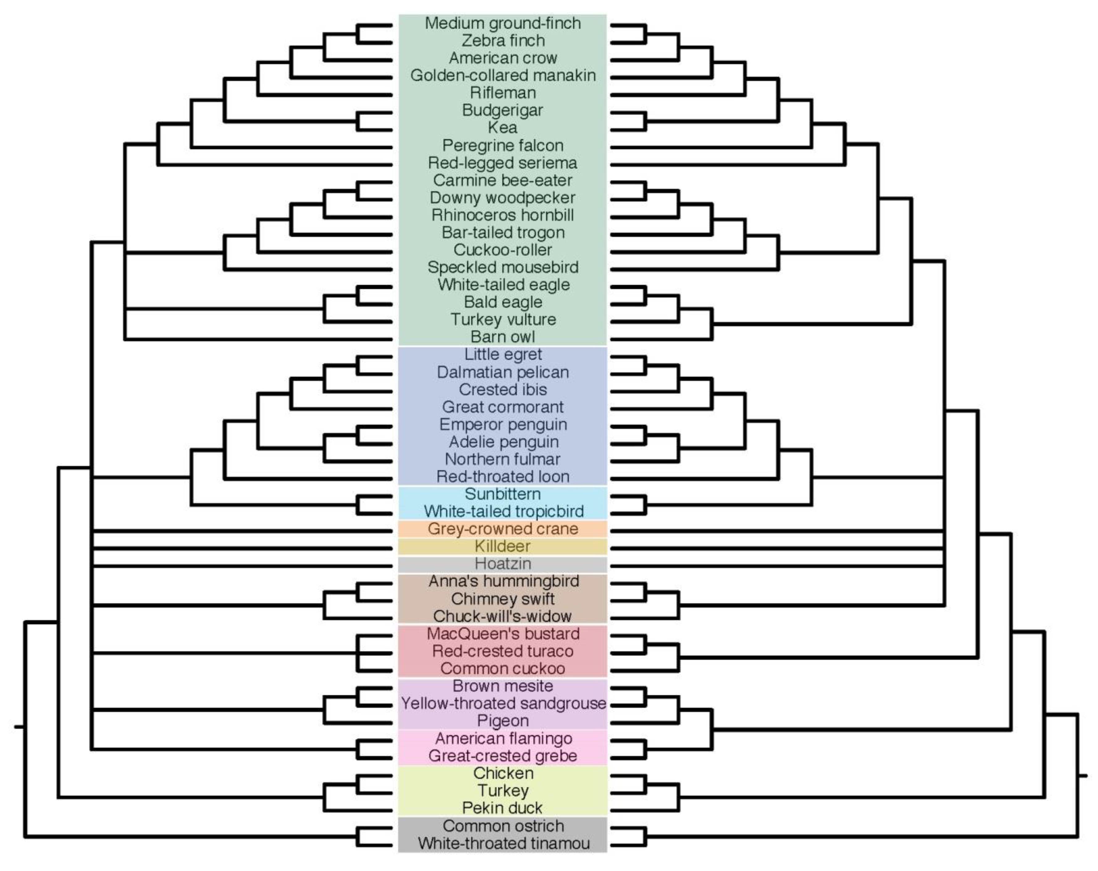 Diversity 11 00108 g012 Diversity 11 00108 g012
