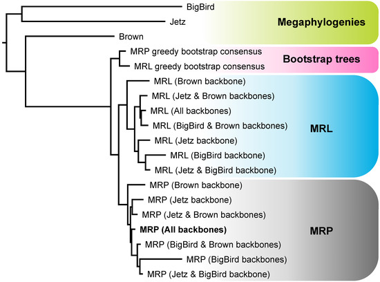 A Phylogenomic Supertree of Birds