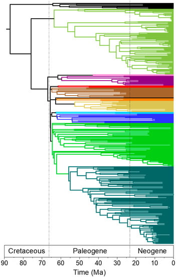 Diversity | Free Full-Text | A Phylogenomic Supertree of Birds | HTML