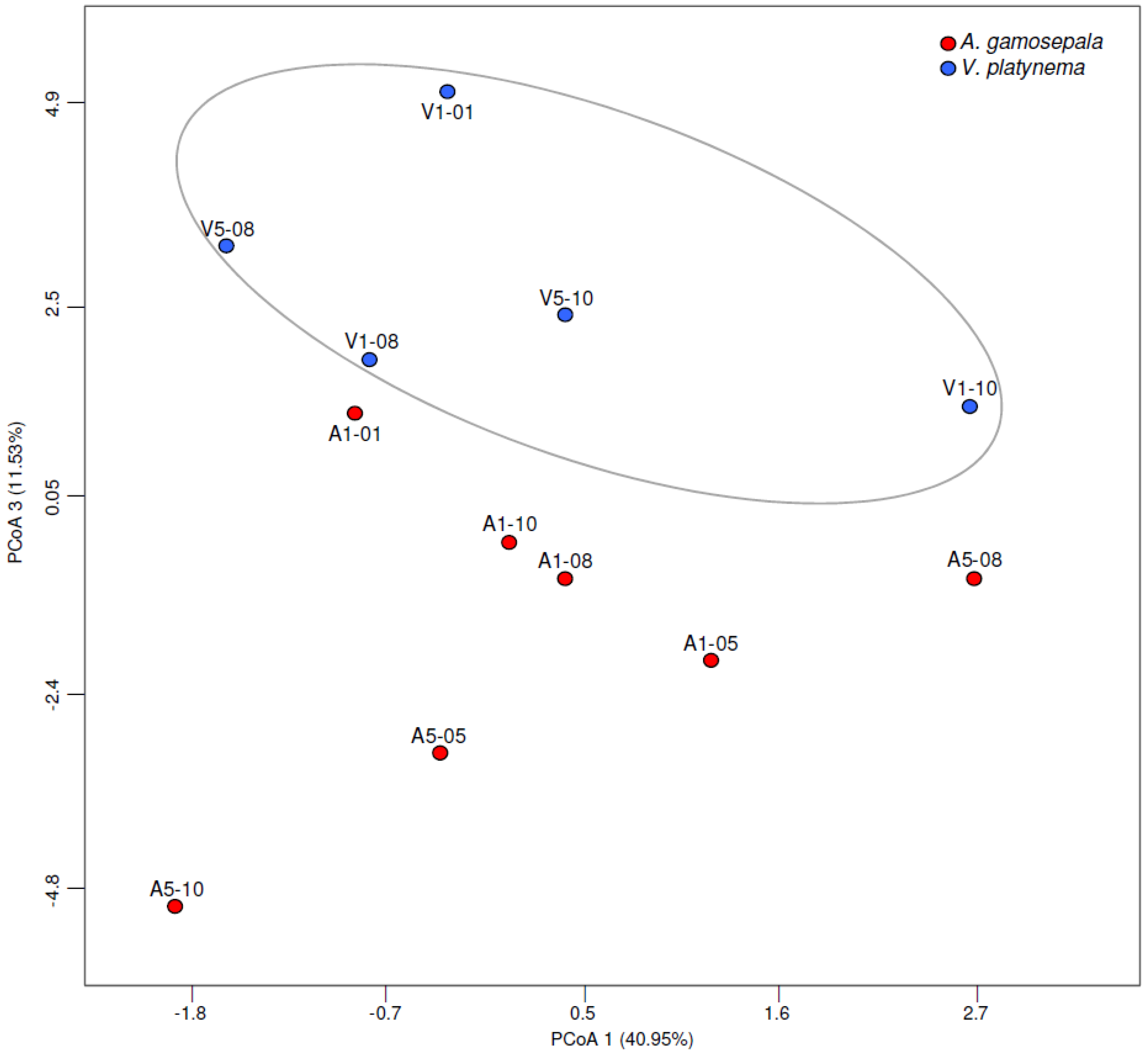 Diversity 11 00111 g007