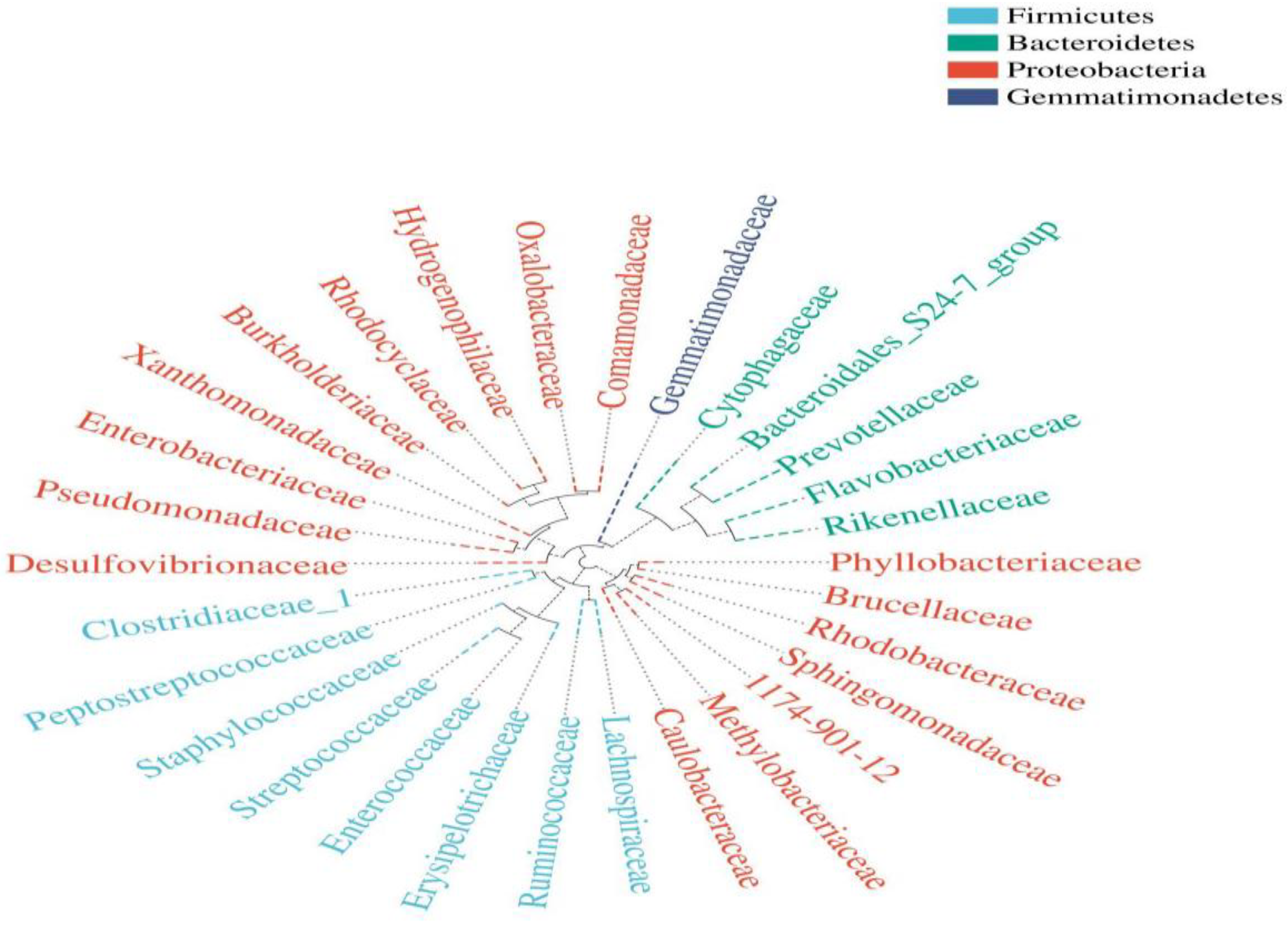 Diversity 11 00112 g008 550