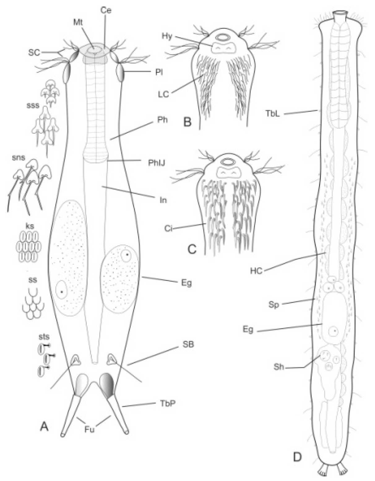 Diversity 11 00117 g001