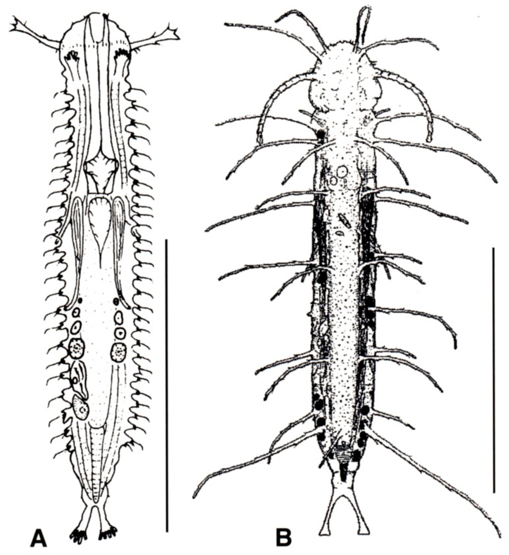 Diversity 11 00117 g004