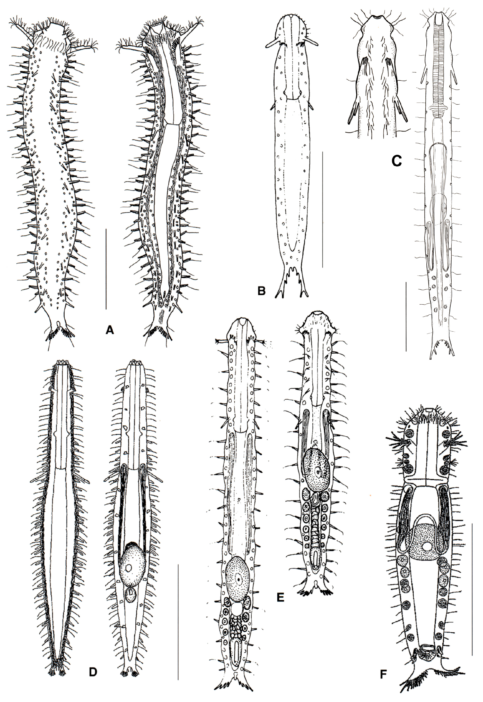 Diversity 11 00117 g006