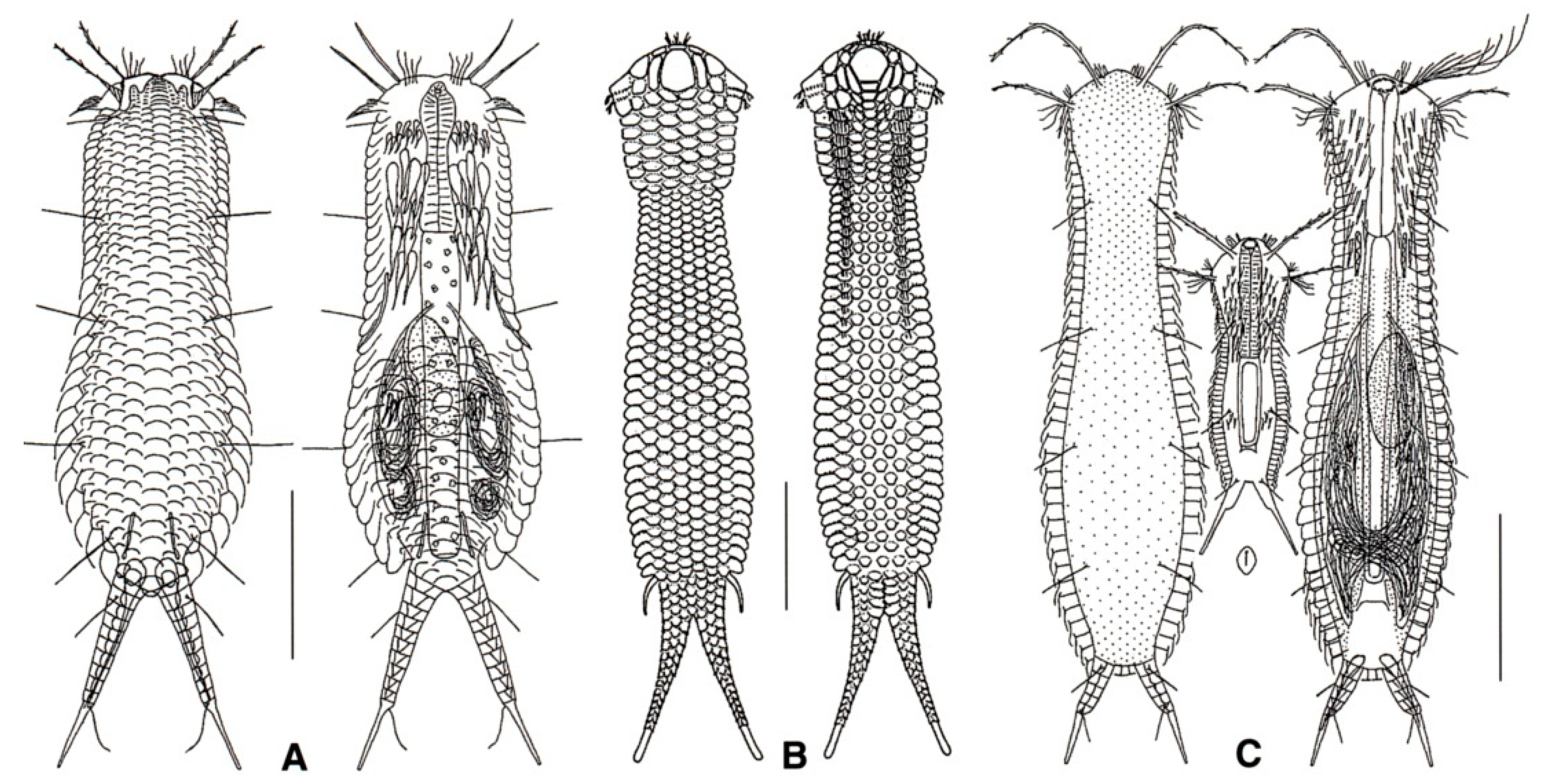 Diversity 11 00117 g014