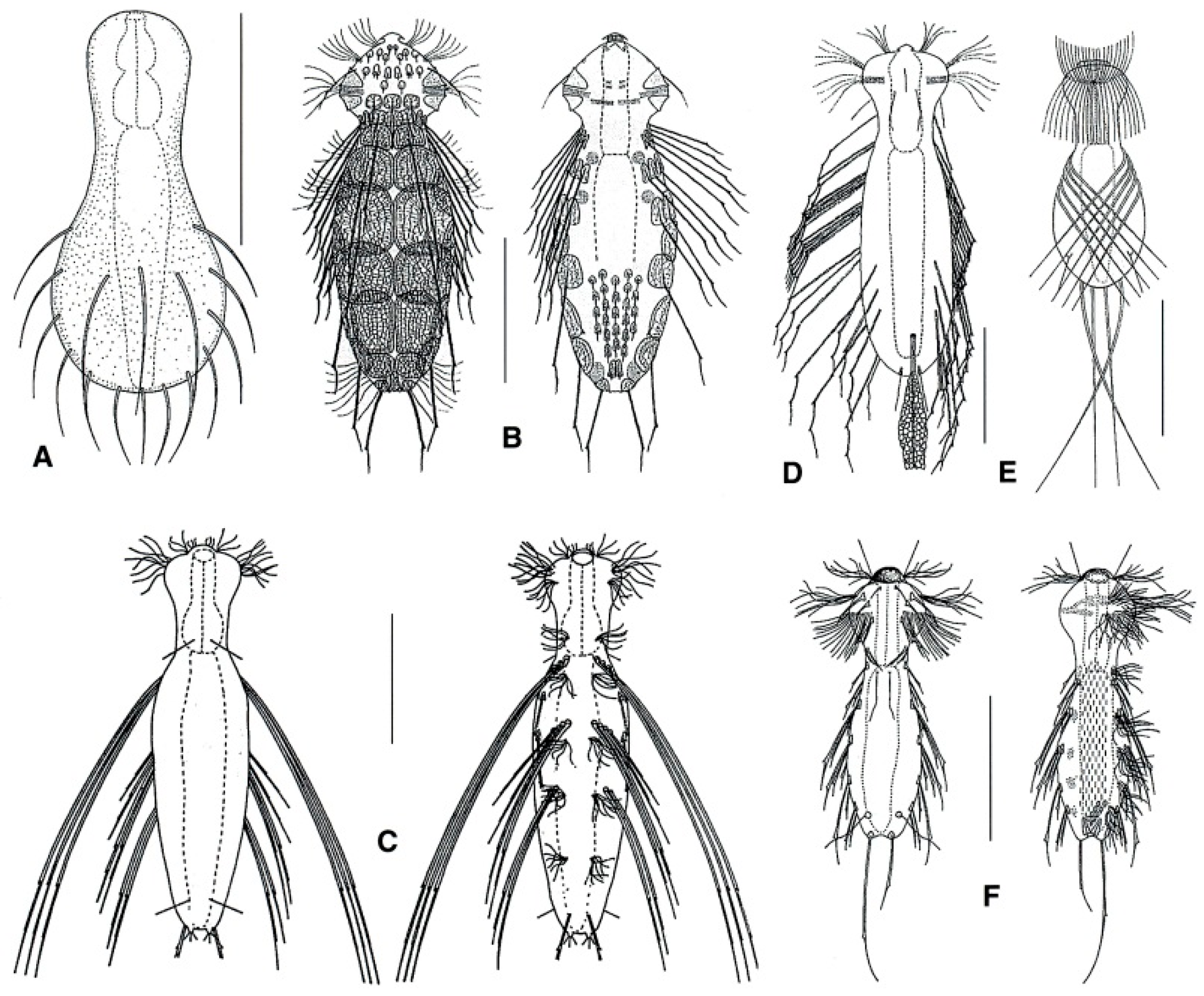 Diversity 11 00117 g019
