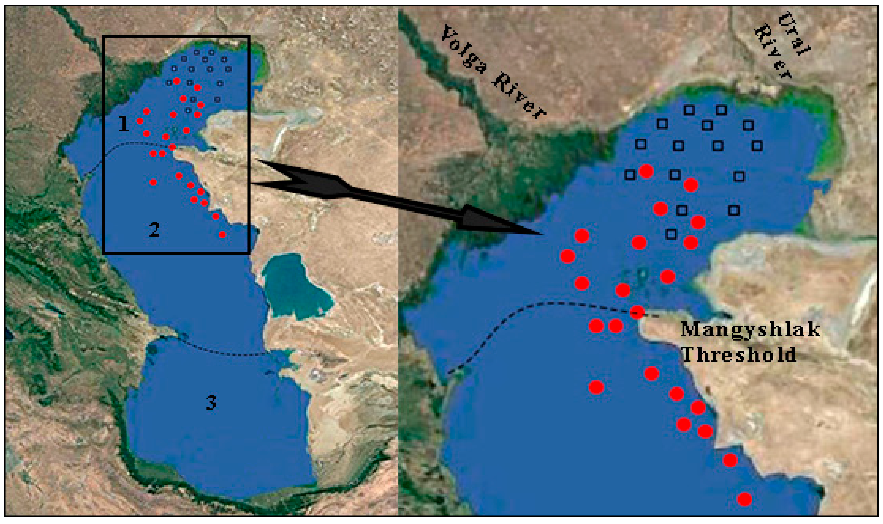 Impact of Climate Changes on the Caspian Sea Level