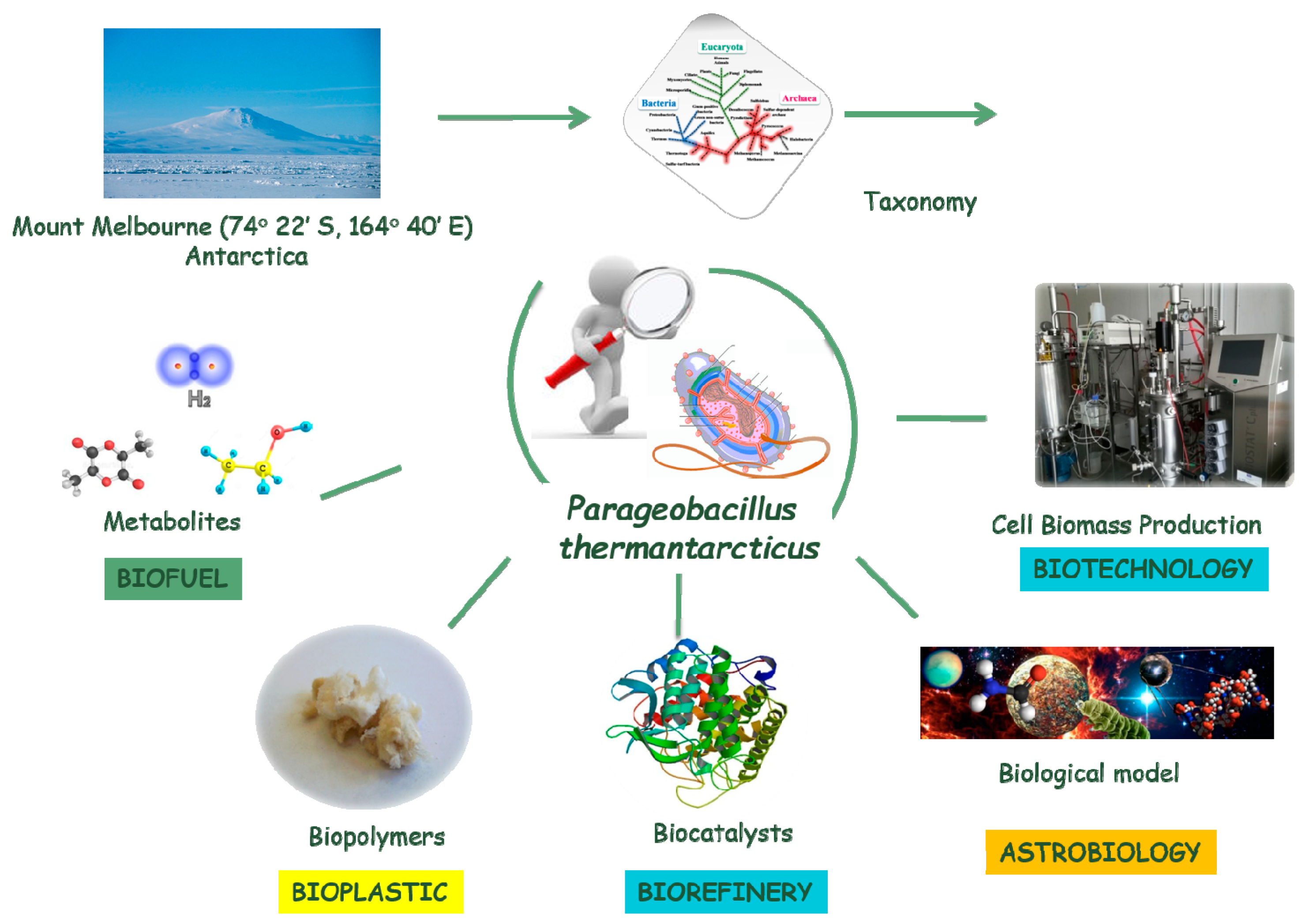 Diversity 11 00128 g001 Diversity 11 00128 g001