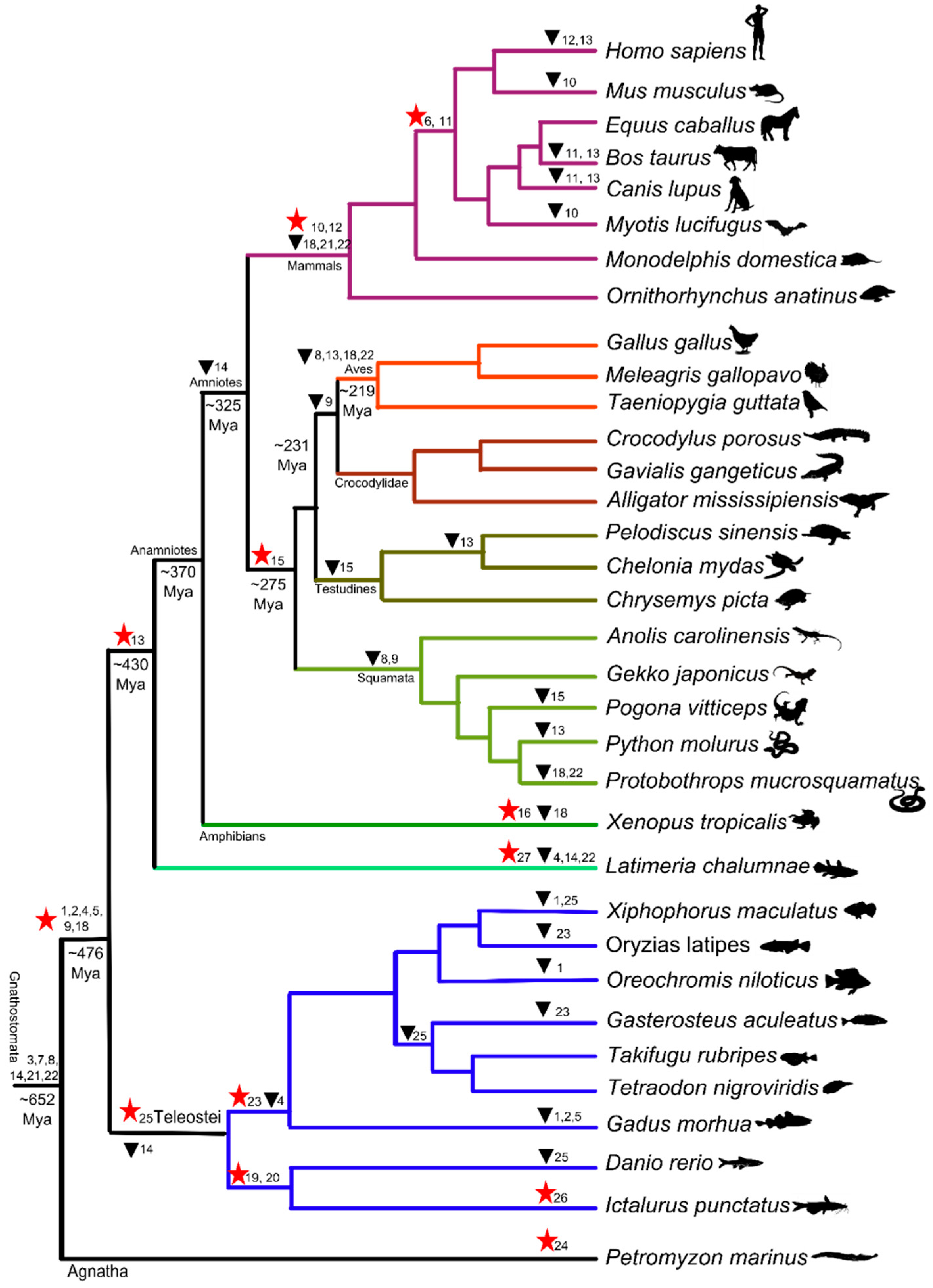 Diversity 11 00131 g002 Diversity 11 00131 g002
