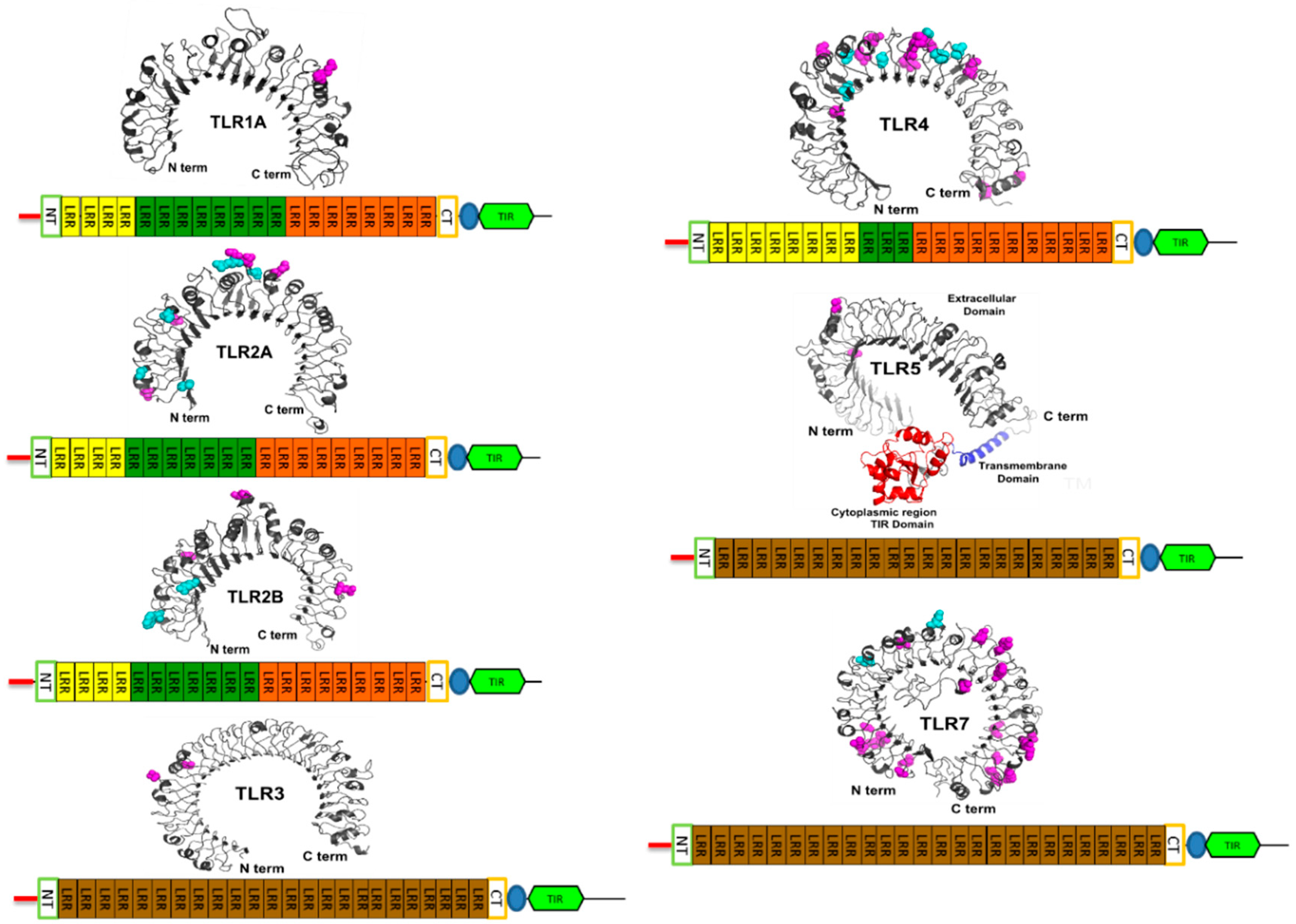 Diversity 11 00131 g004 Diversity 11 00131 g004