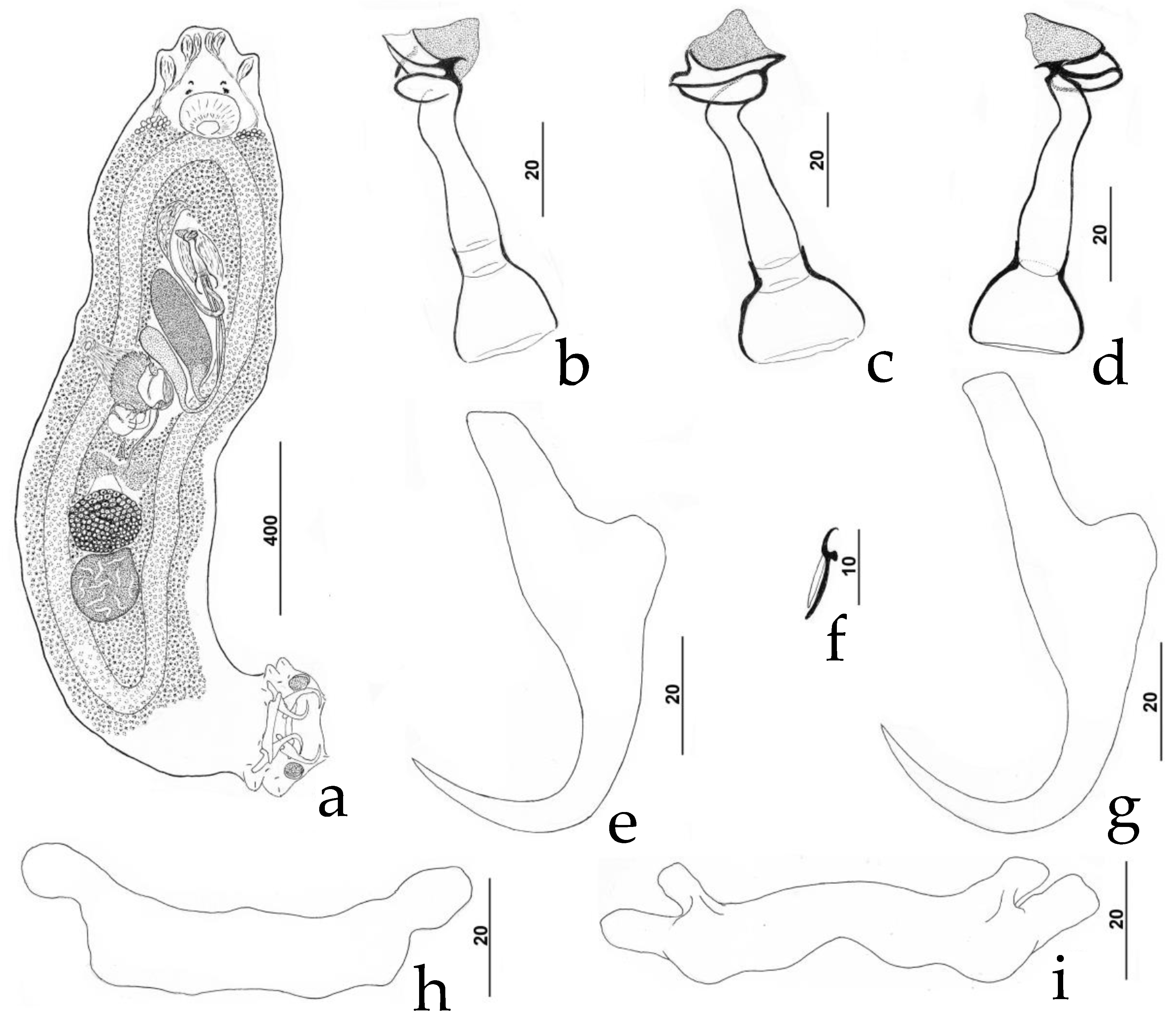 Diversity 11 00132 g001 550