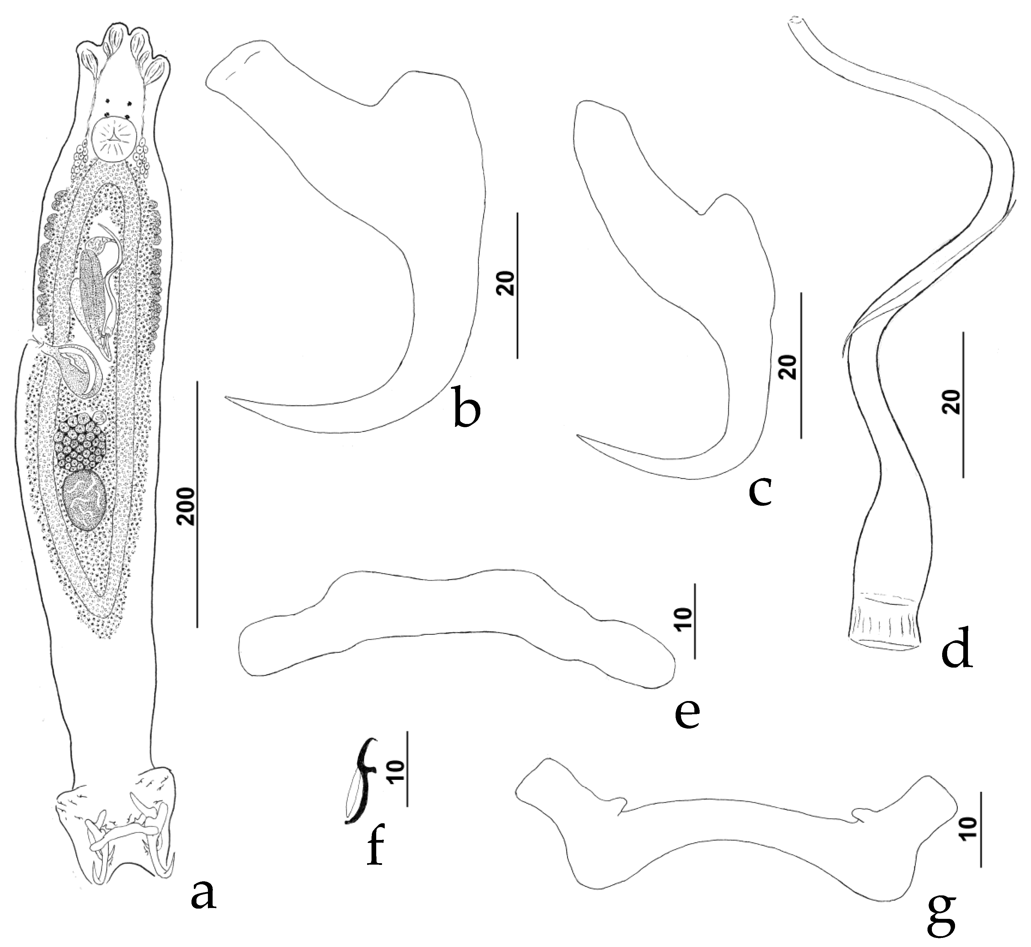 Diversity 11 00132 g003 550