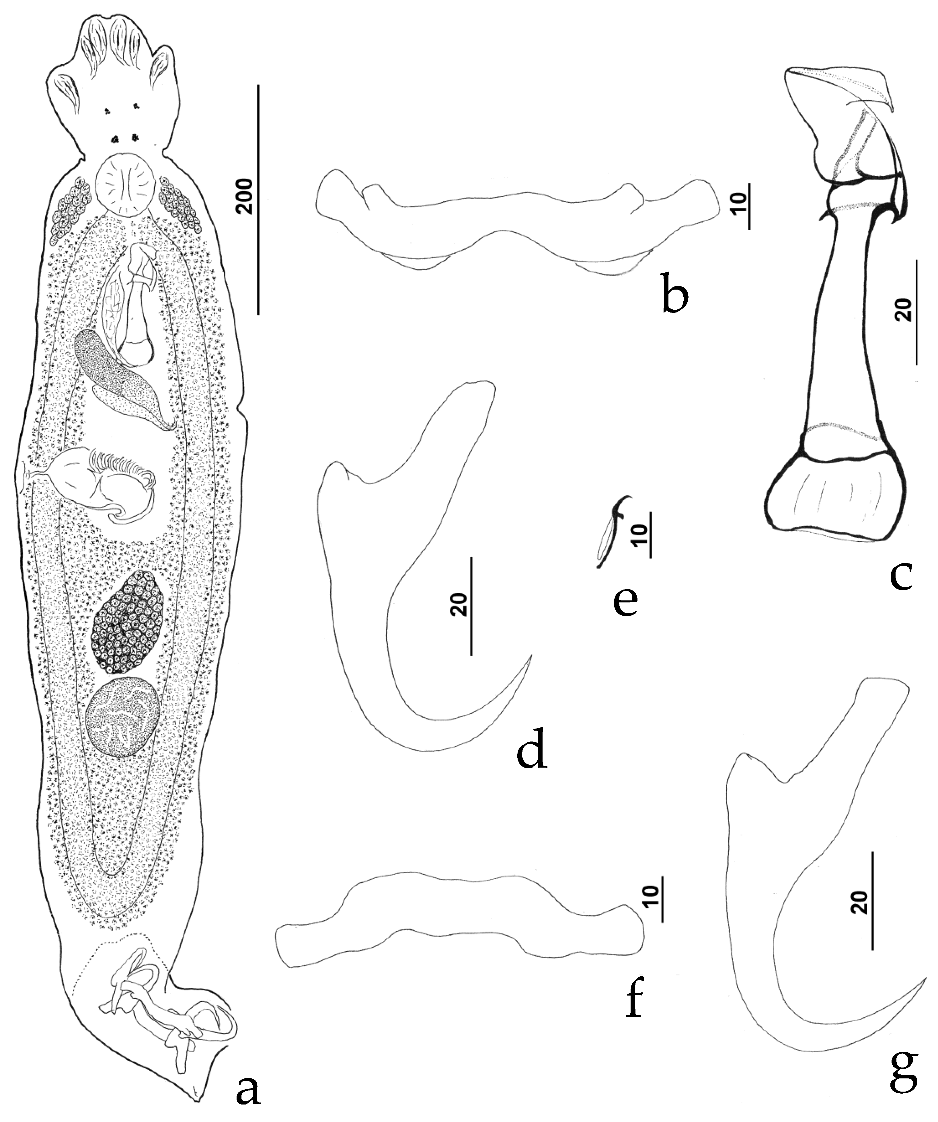 Diversity 11 00132 g004 550