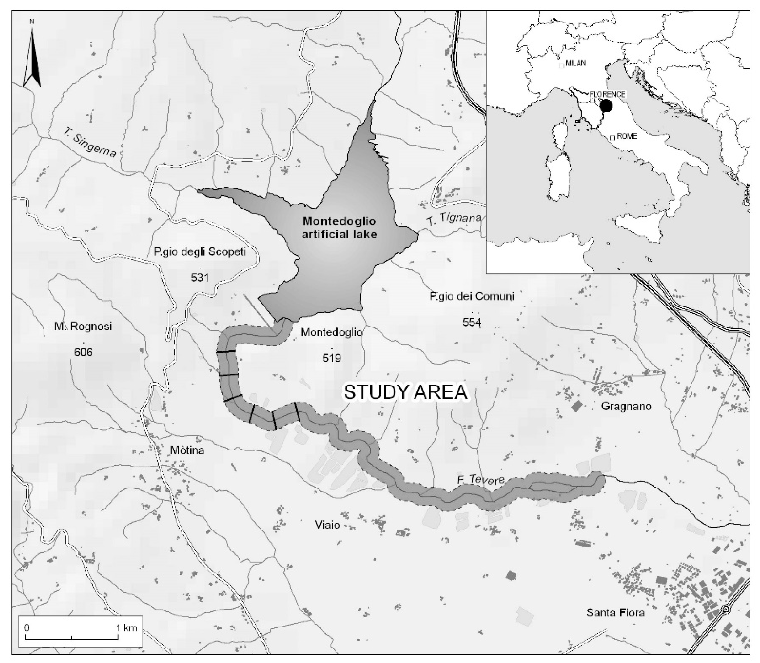 Diversity 11 00133 g001