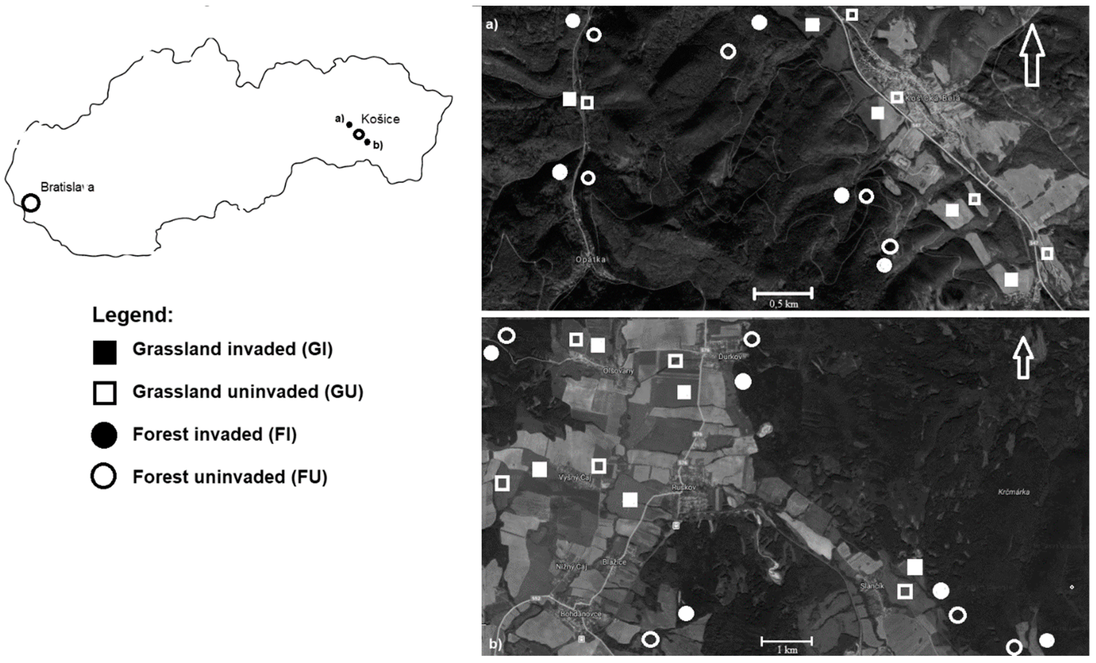 Diversity 11 00134 g001