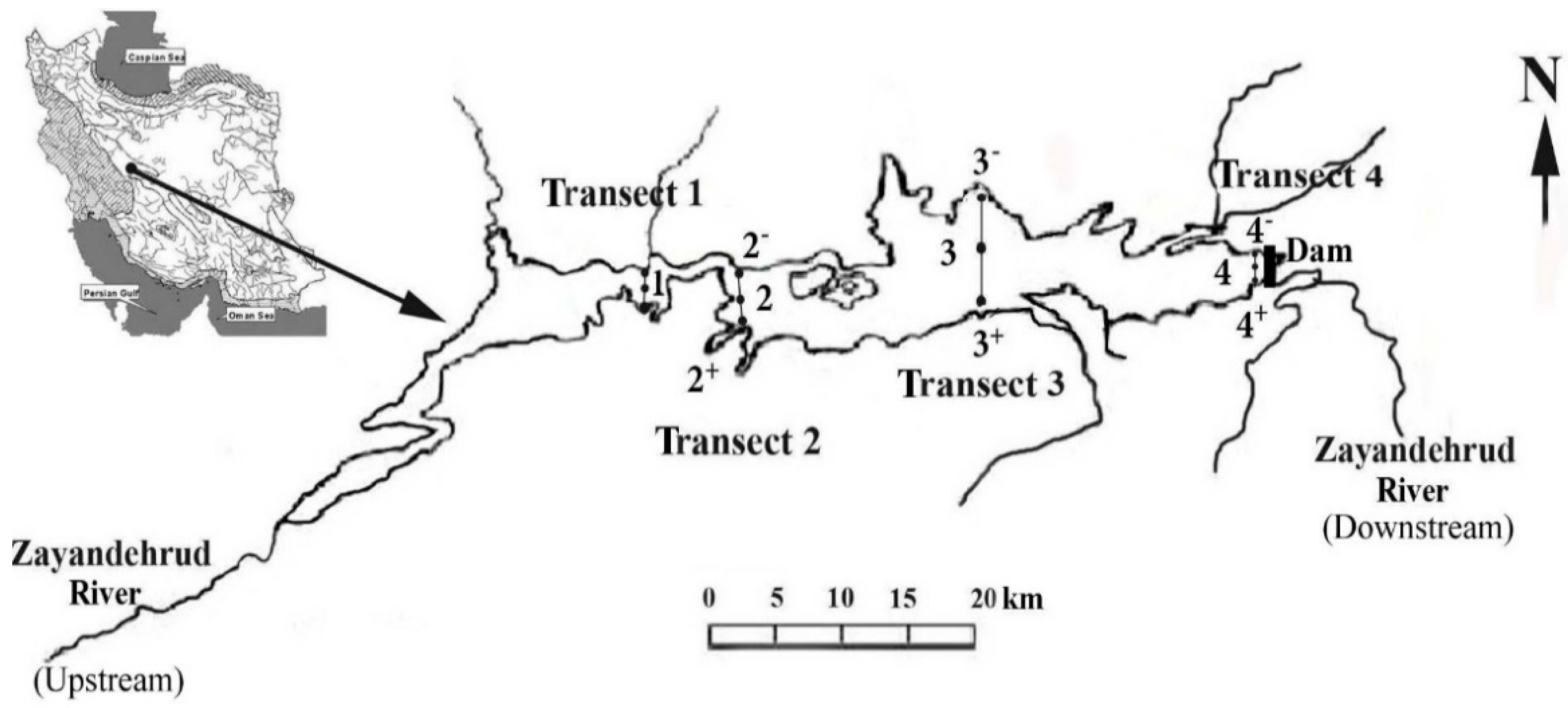 Diversity 11 00137 g001