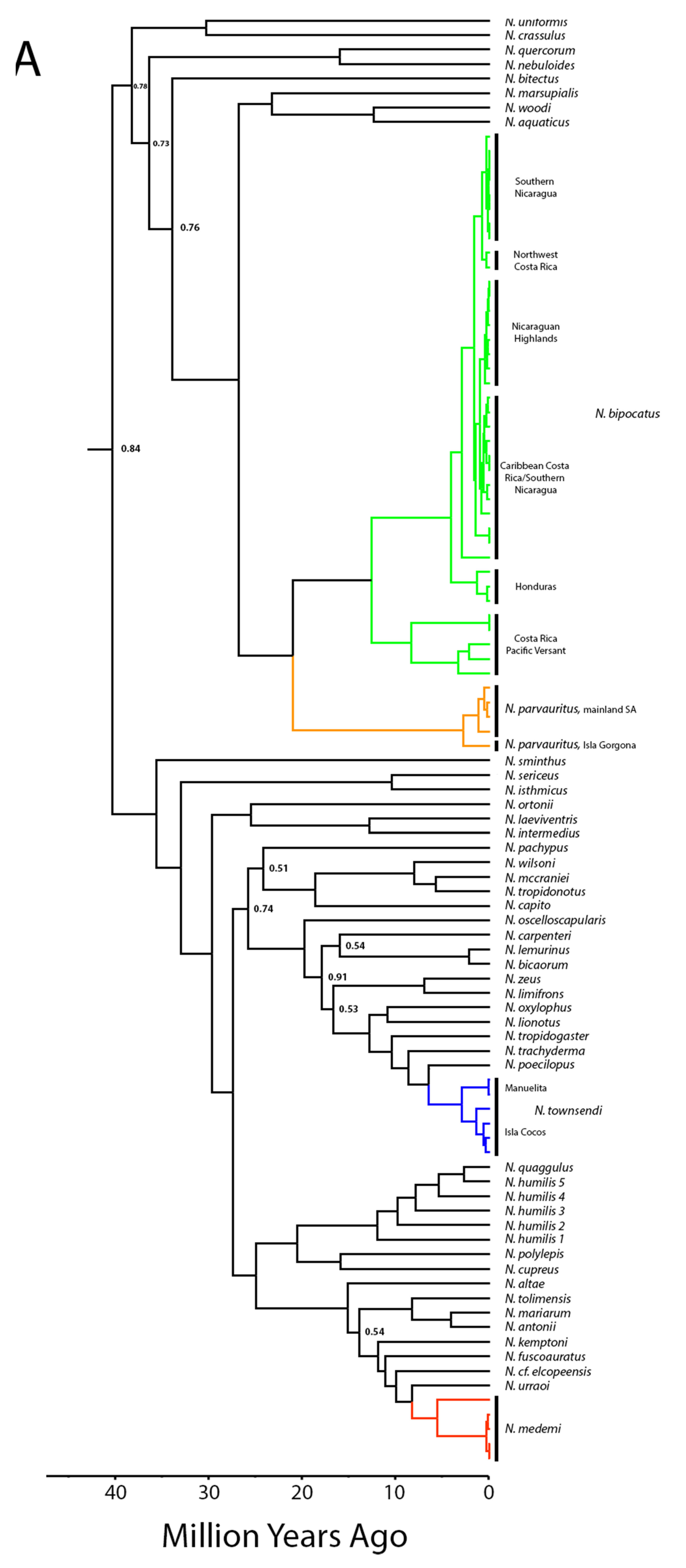 Diversity 11 00141 g004a Diversity 11 00141 g004a
