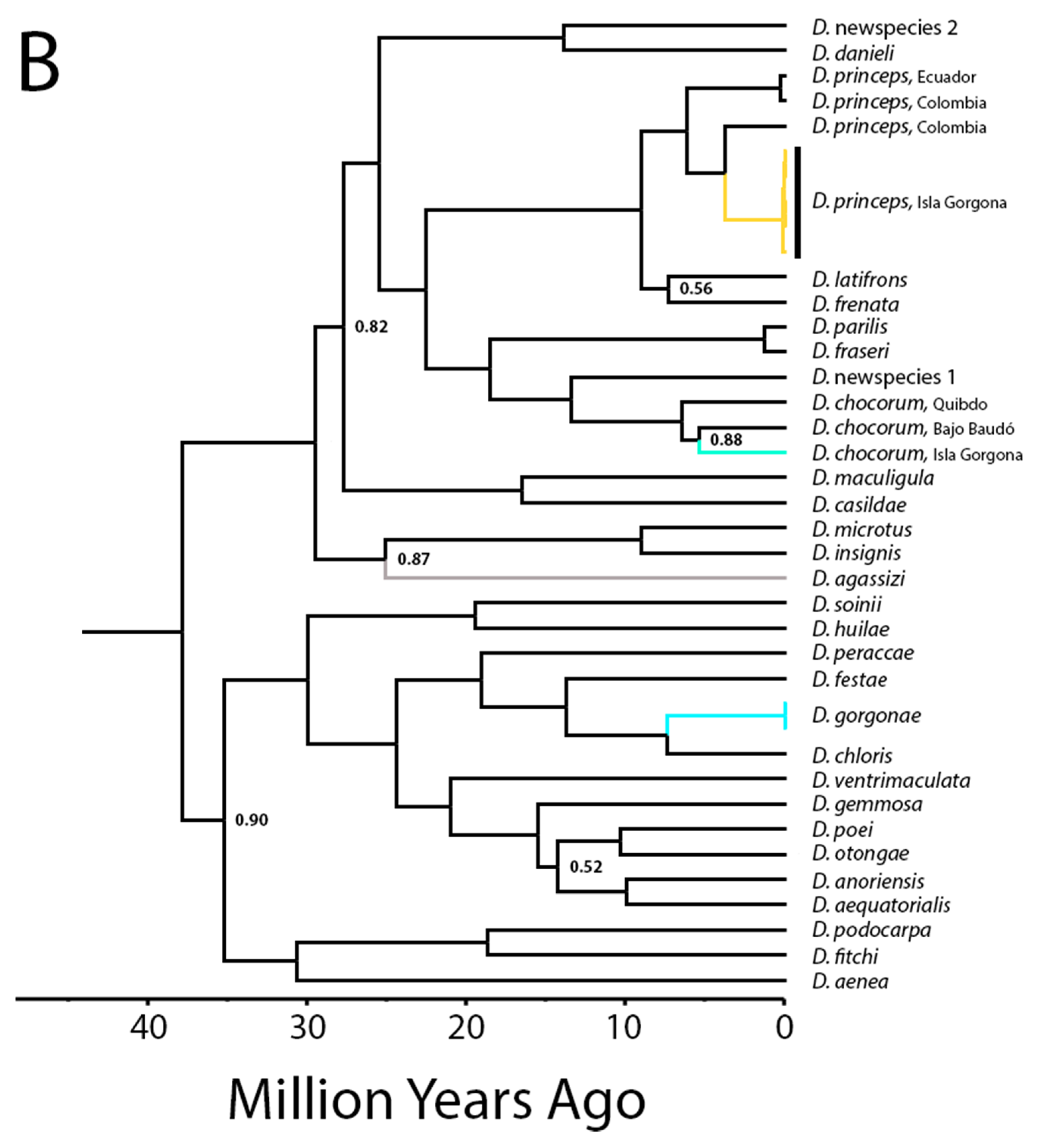 Diversity 11 00141 g004b Diversity 11 00141 g004b