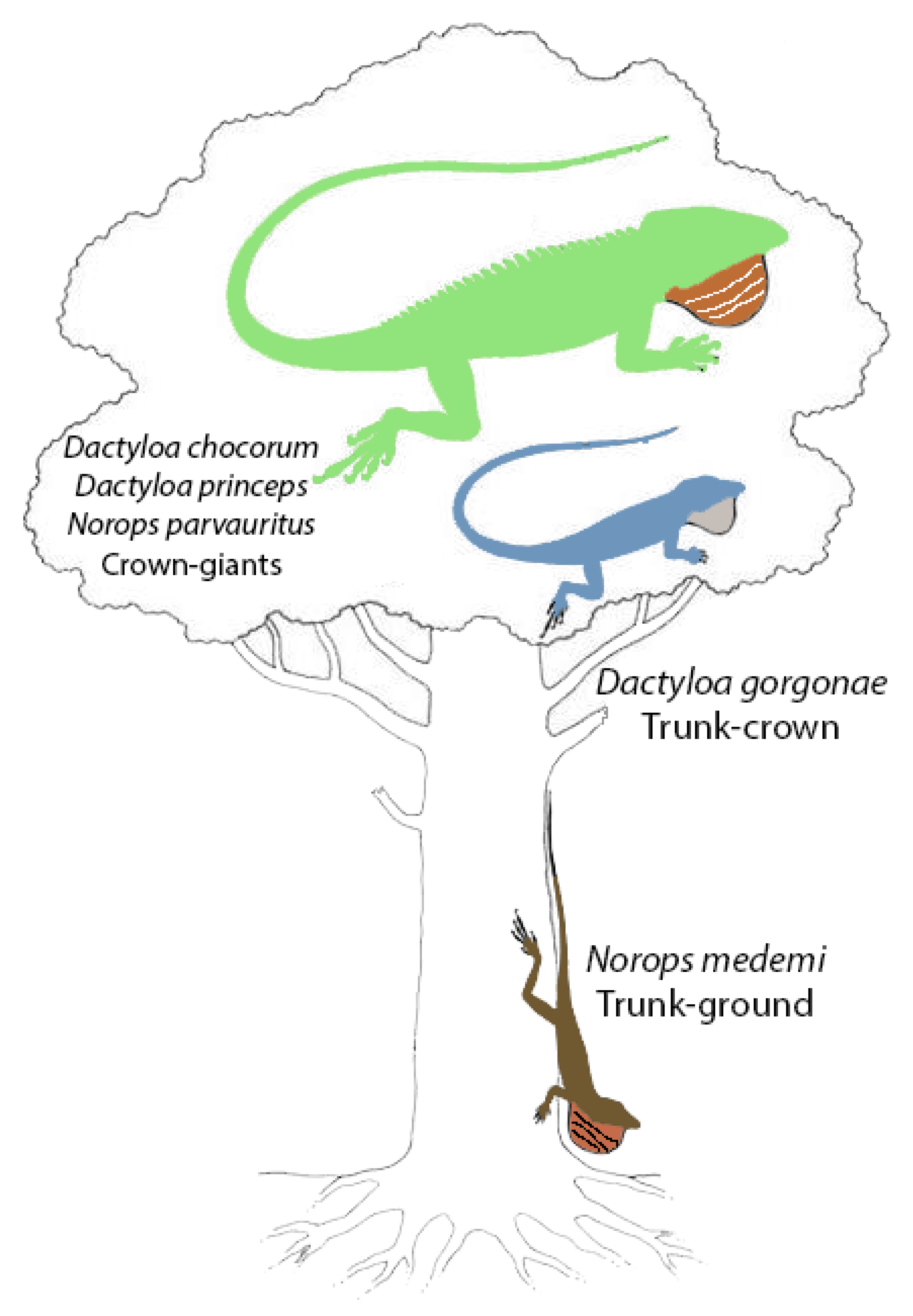 Diversity 11 00141 g006 Diversity 11 00141 g006