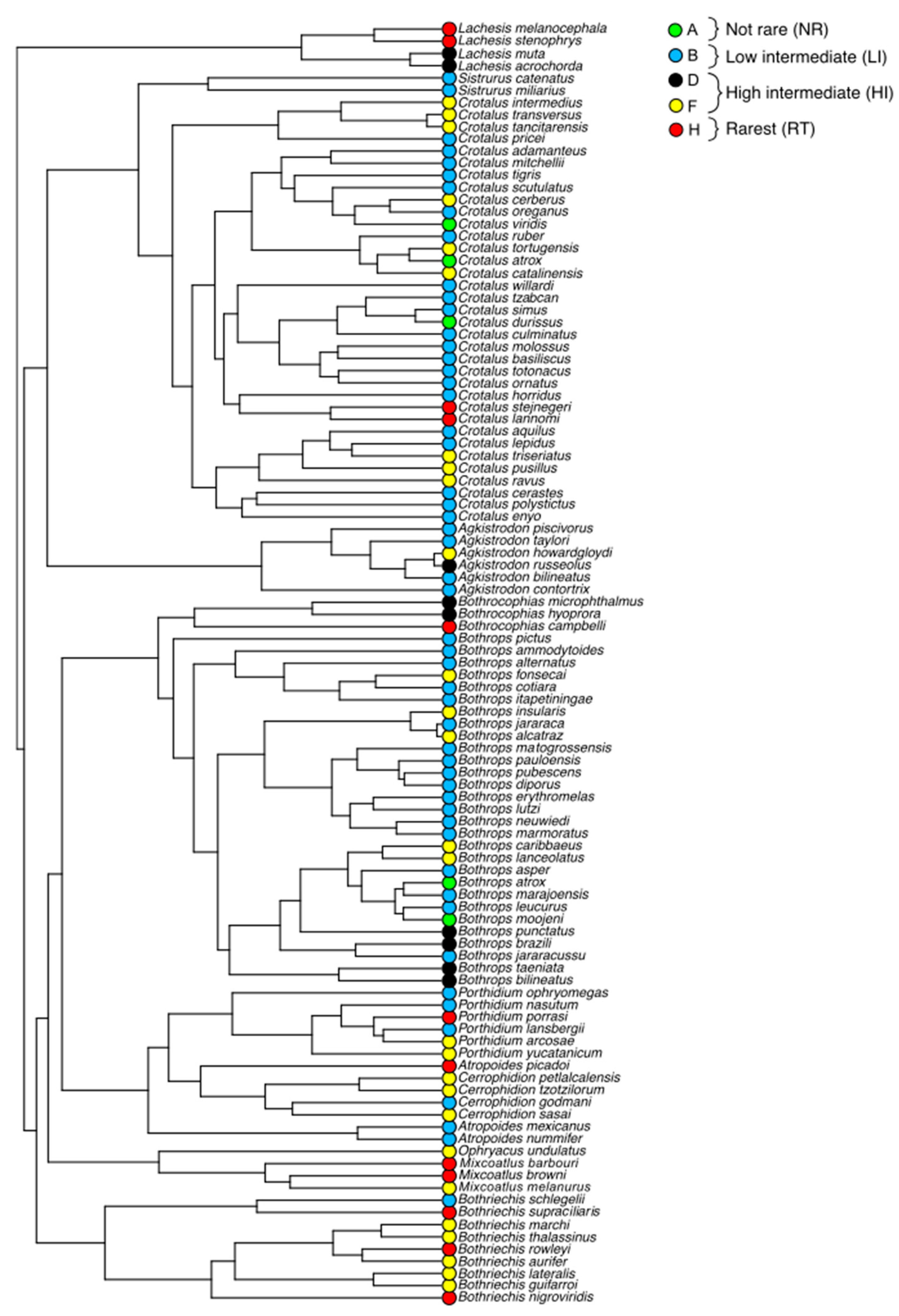 Diversity 11 00147 g003