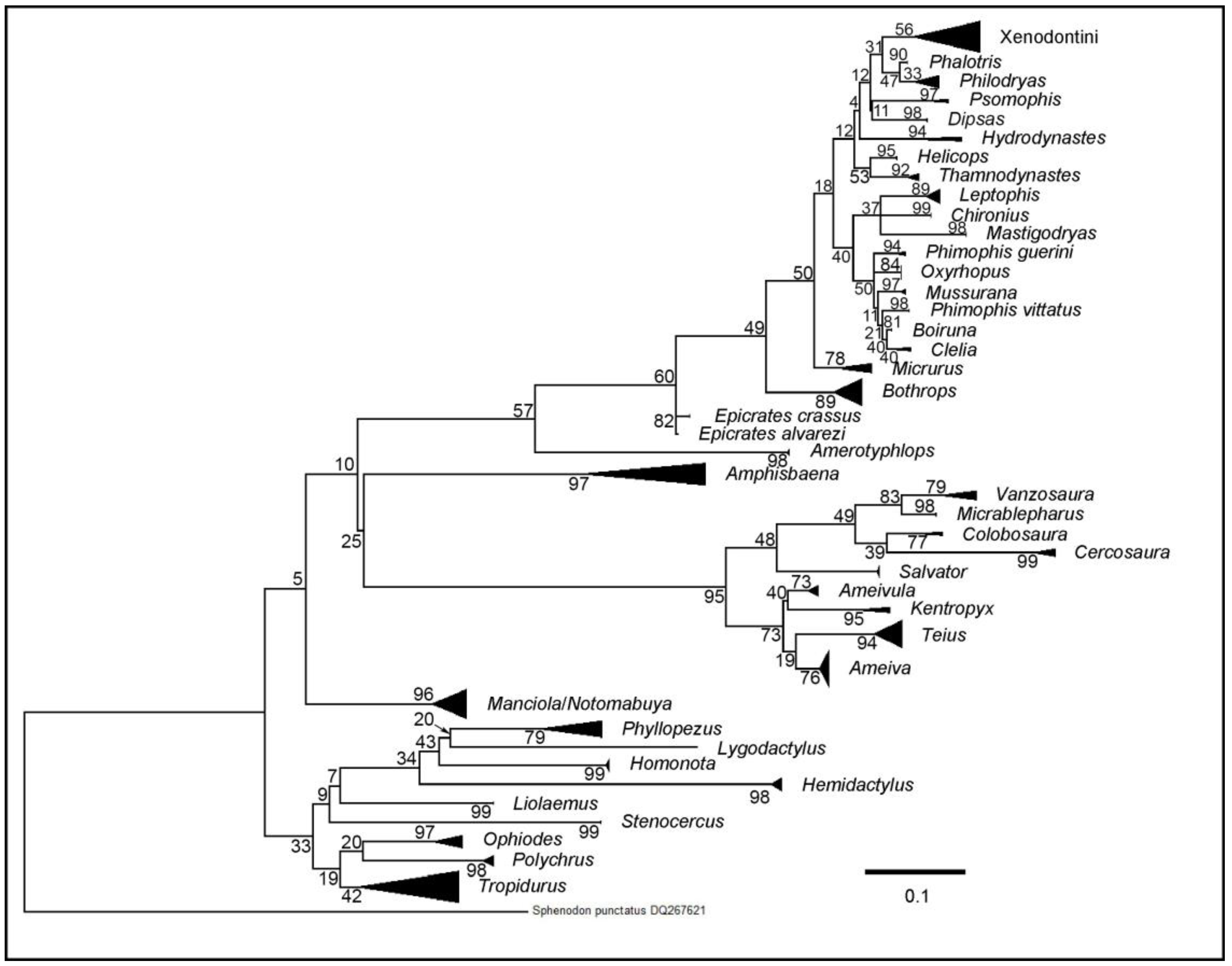 Diversity 11 00152 g004 Diversity 11 00152 g004