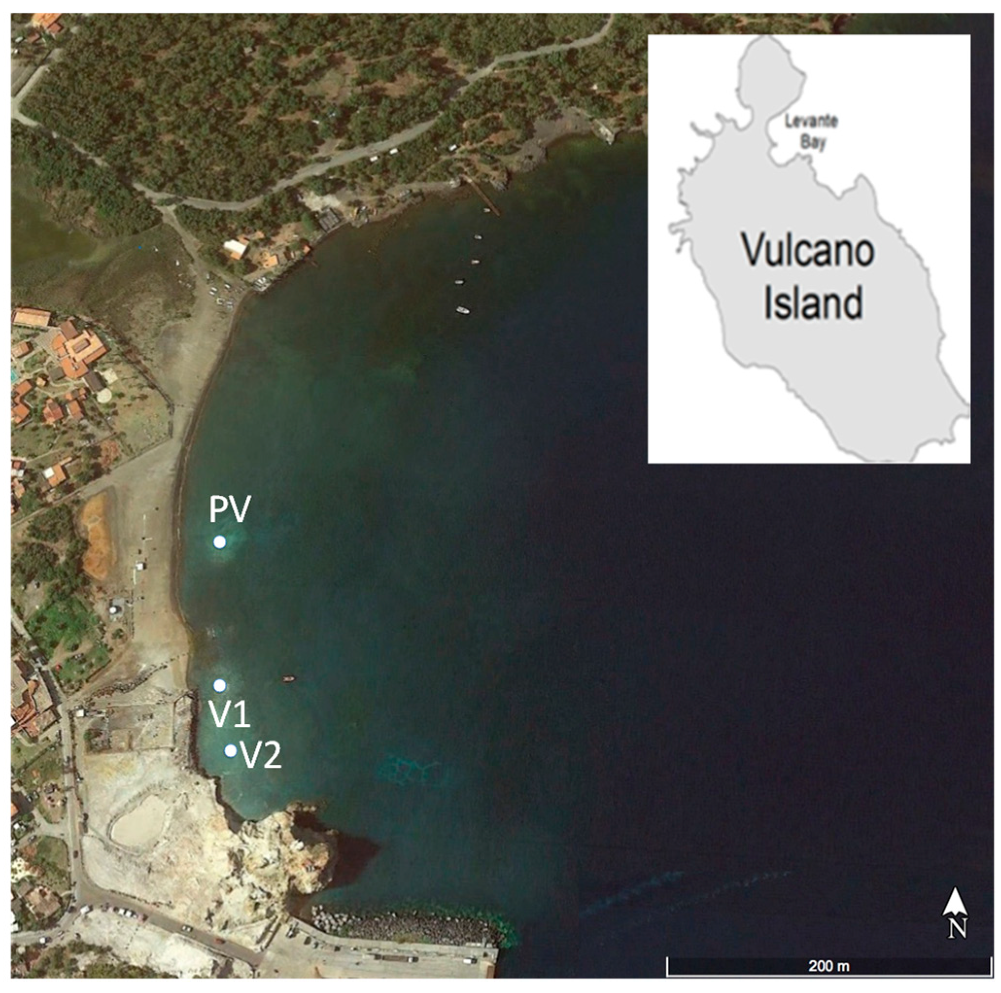 Diversity 11 00156 g002