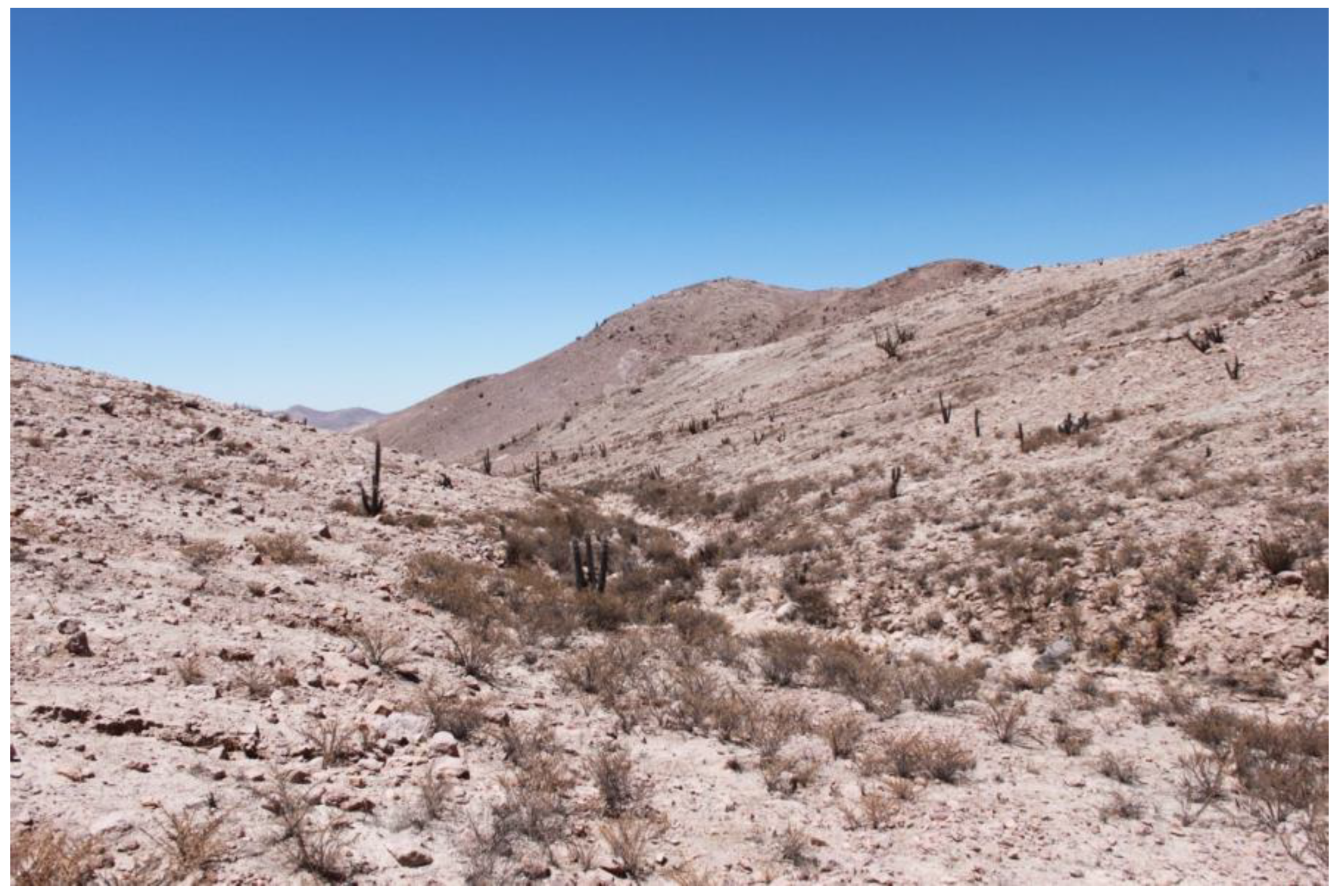 Diversity 11 00161 g007