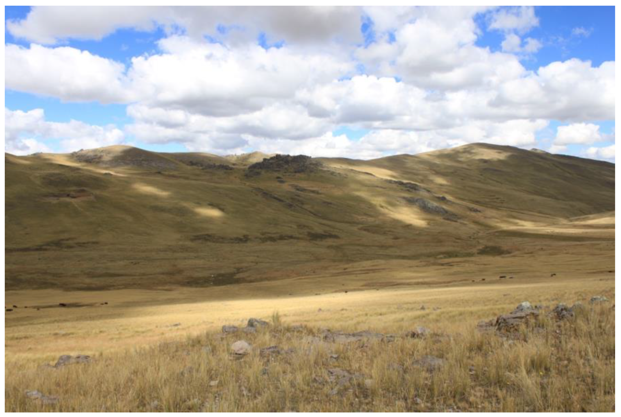 Diversity 11 00161 g011