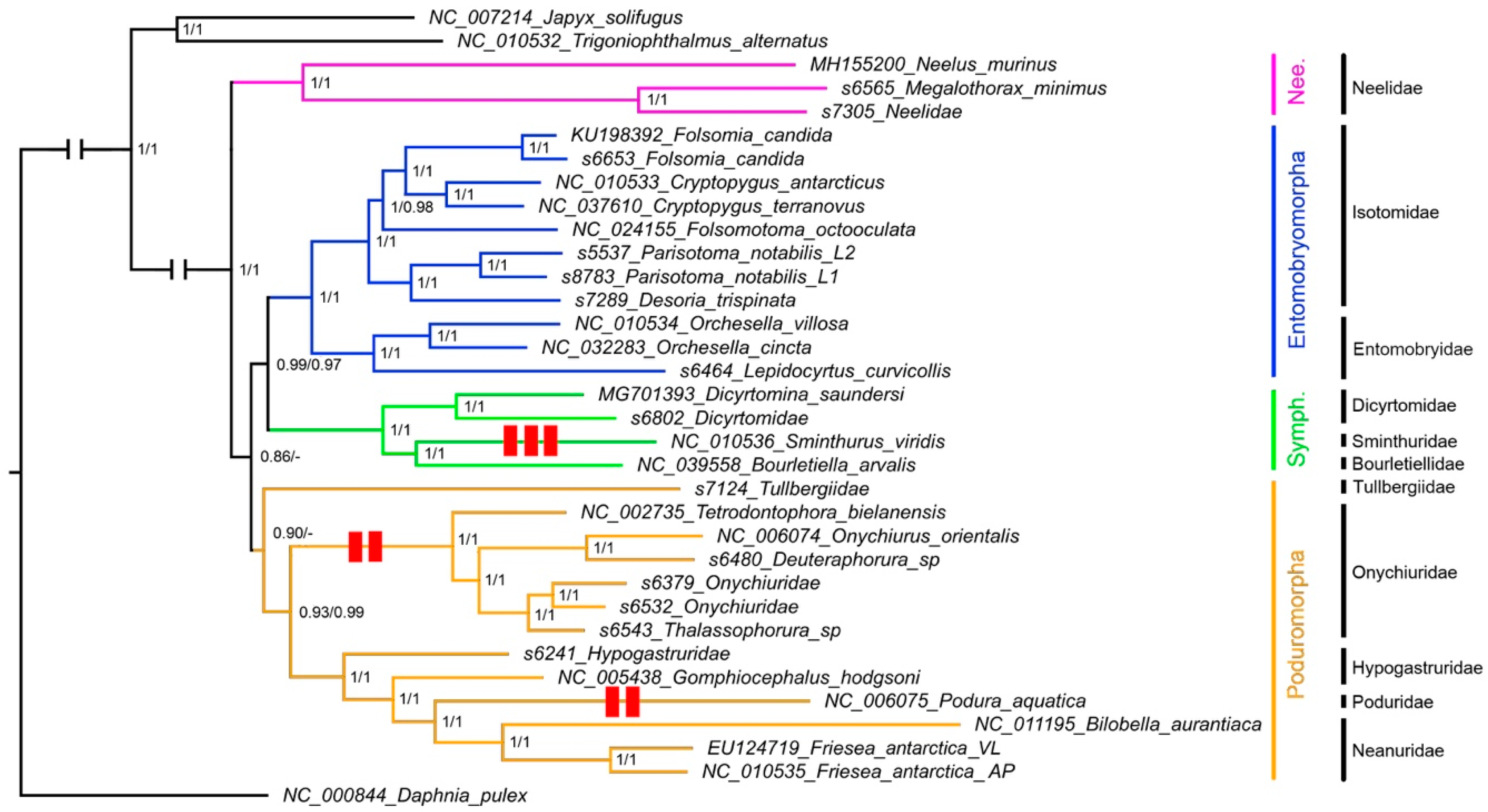 Diversity 11 00169 g001 Diversity 11 00169 g001