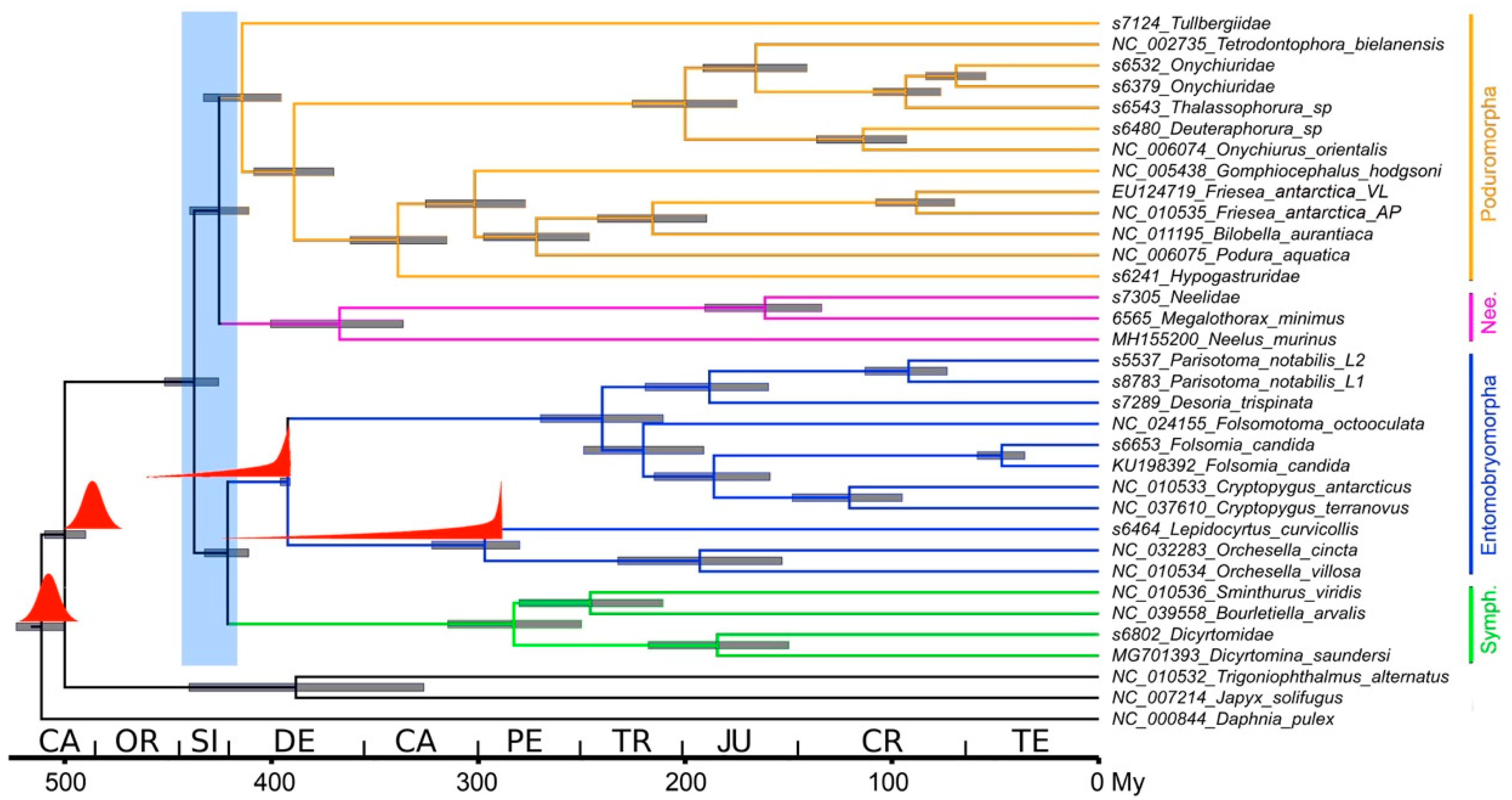 Diversity 11 00169 g002 Diversity 11 00169 g002