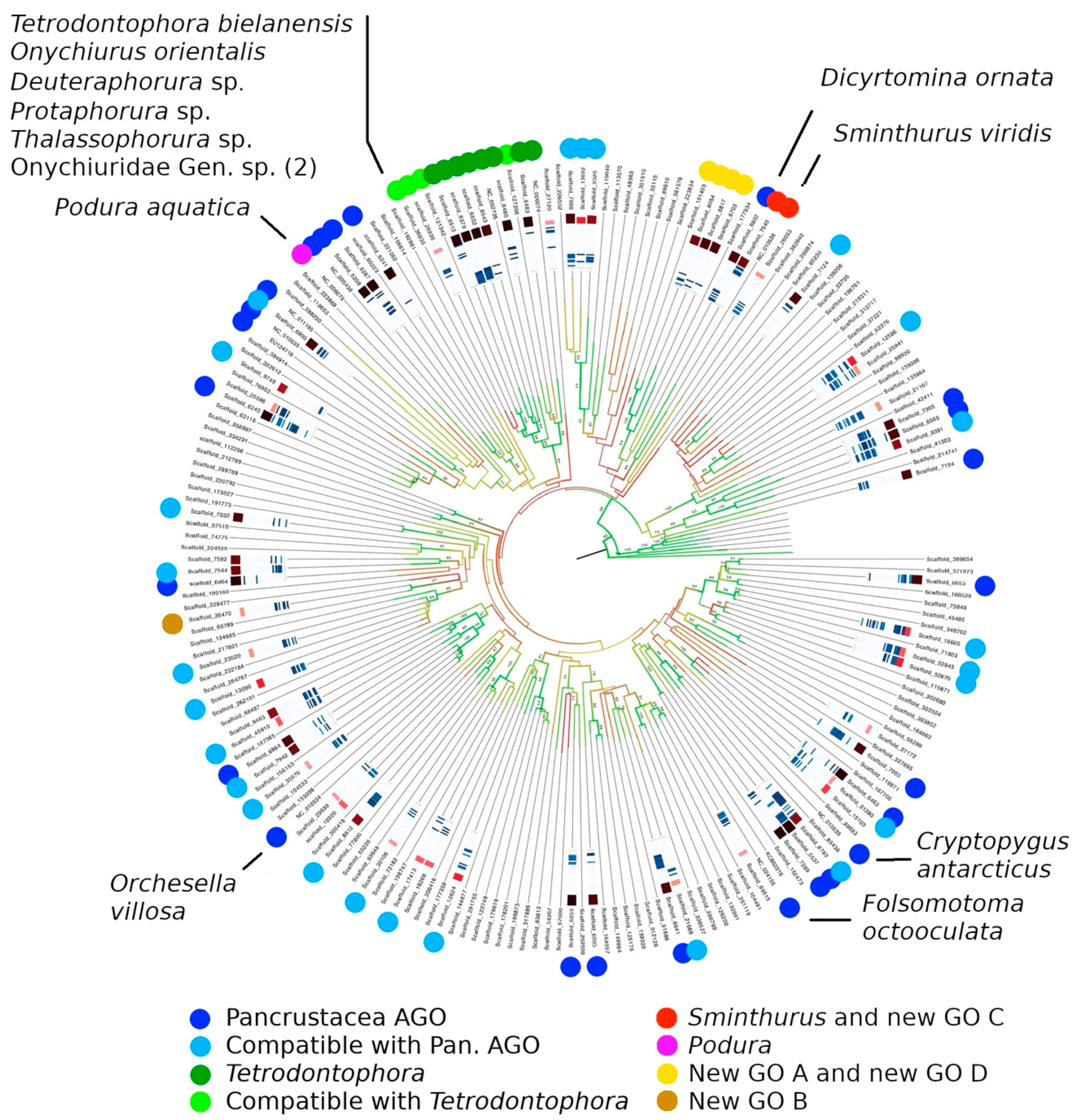 Diversity 11 00169 g004 Diversity 11 00169 g004