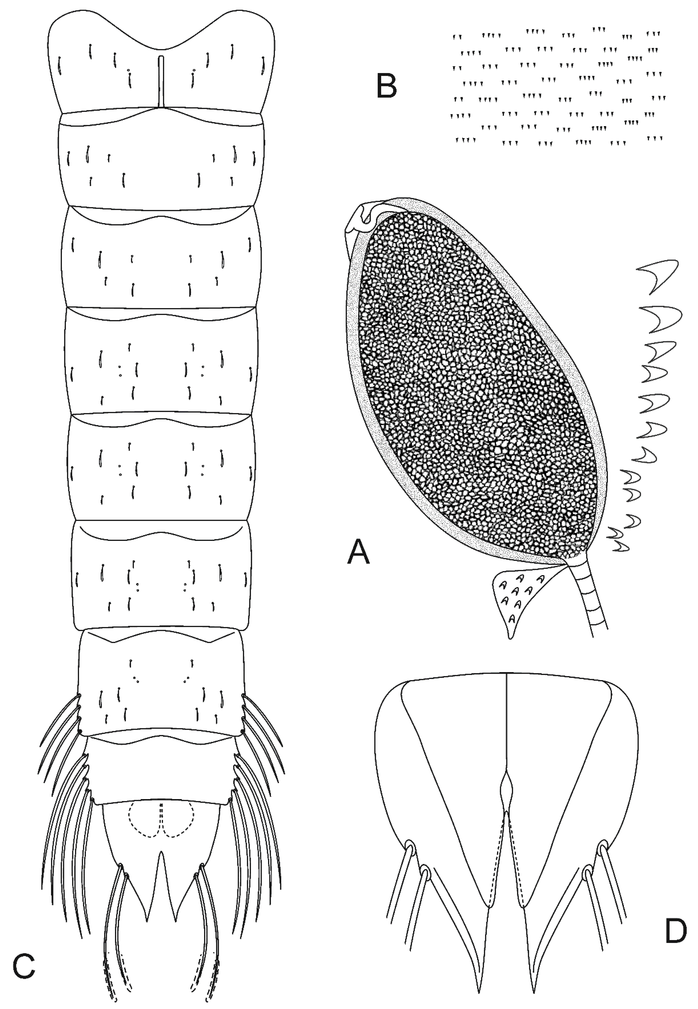 Diversity 11 00173 g003