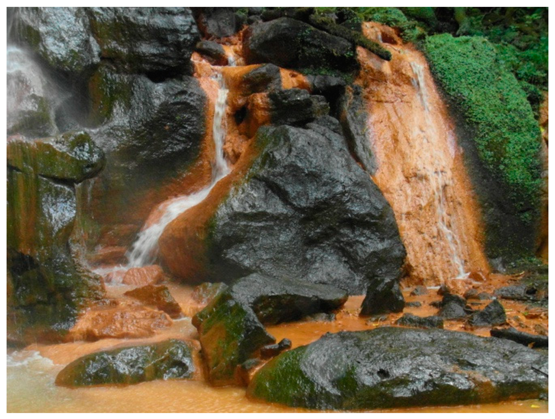 Diversity 11 00175 g001