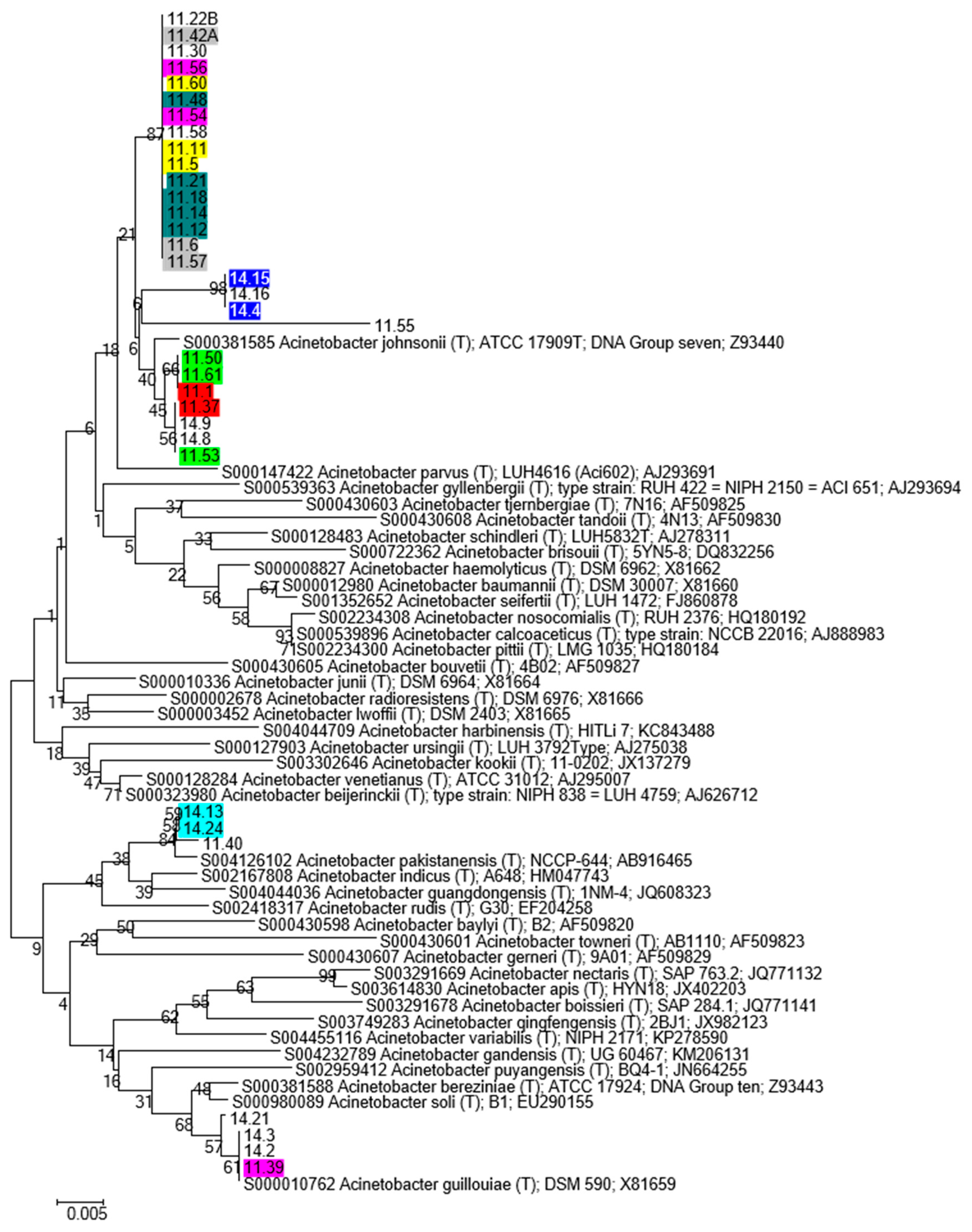 Diversity 11 00175 g005
