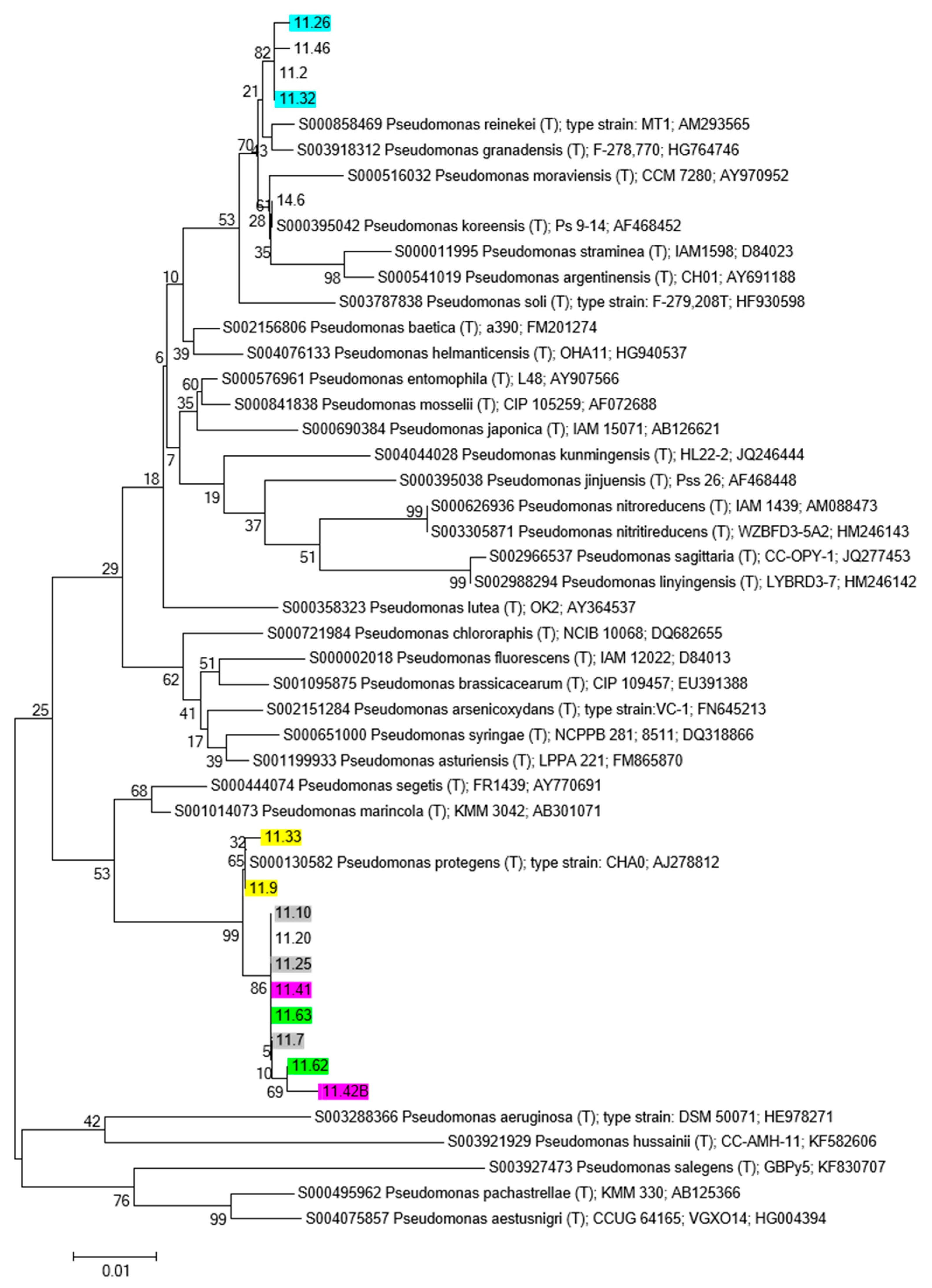 Diversity 11 00175 g006