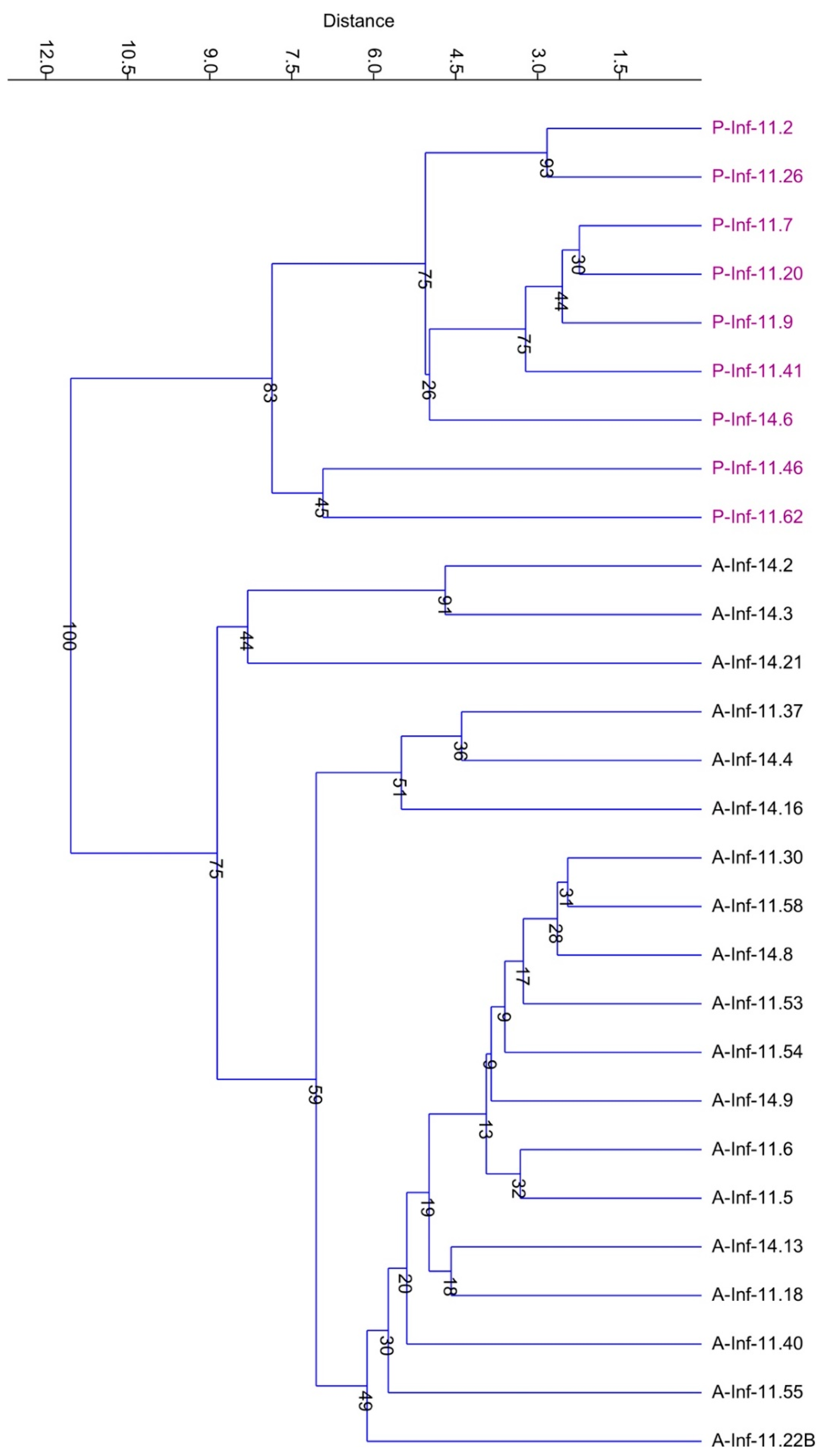 Diversity 11 00175 g008