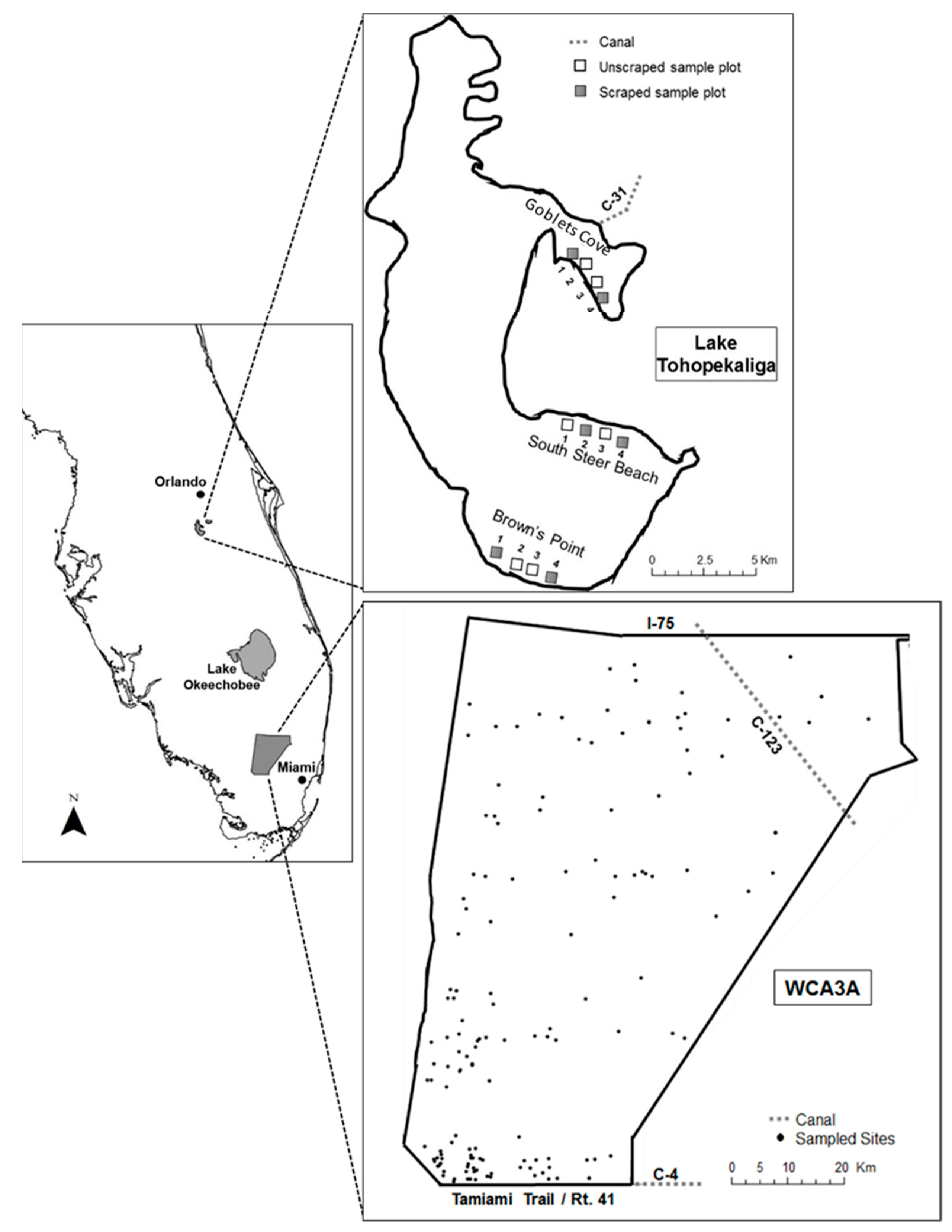 Diversity 11 00183 g001