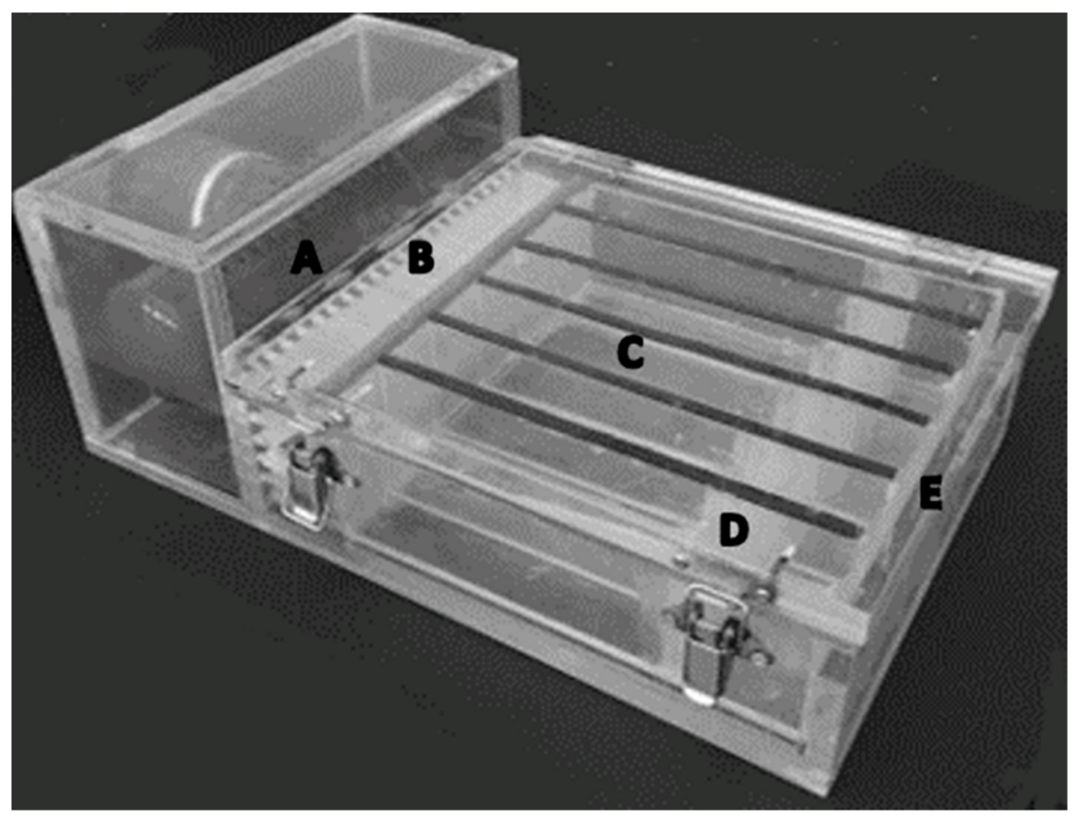 Diversity 11 00185 g001 Diversity 11 00185 g001