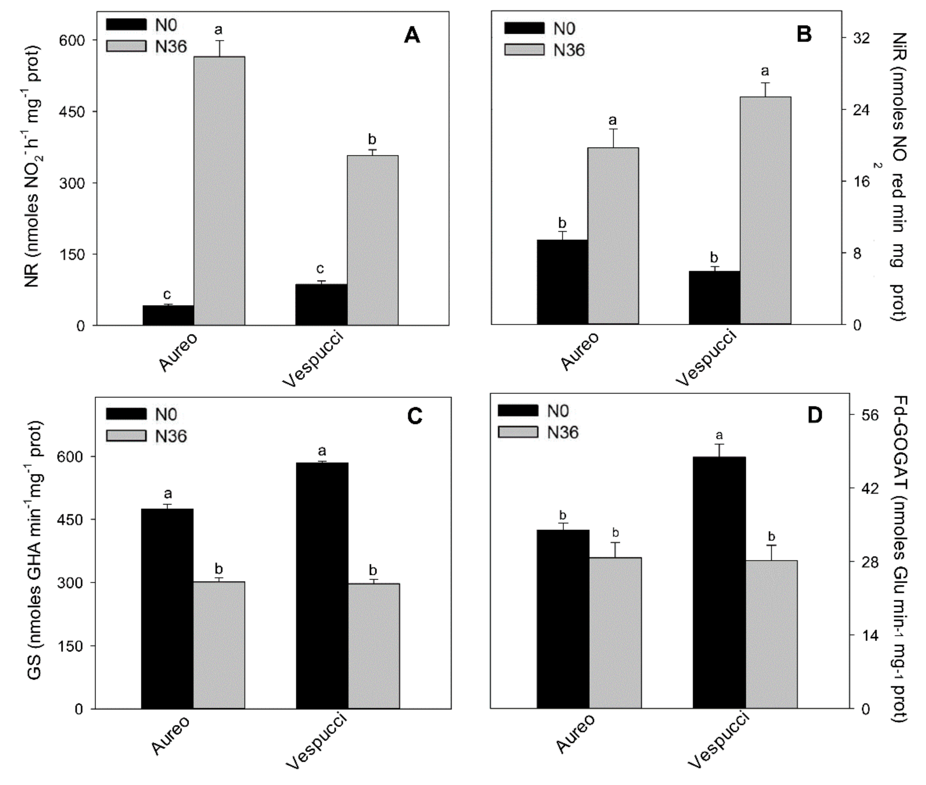 Diversity 11 00186 g005