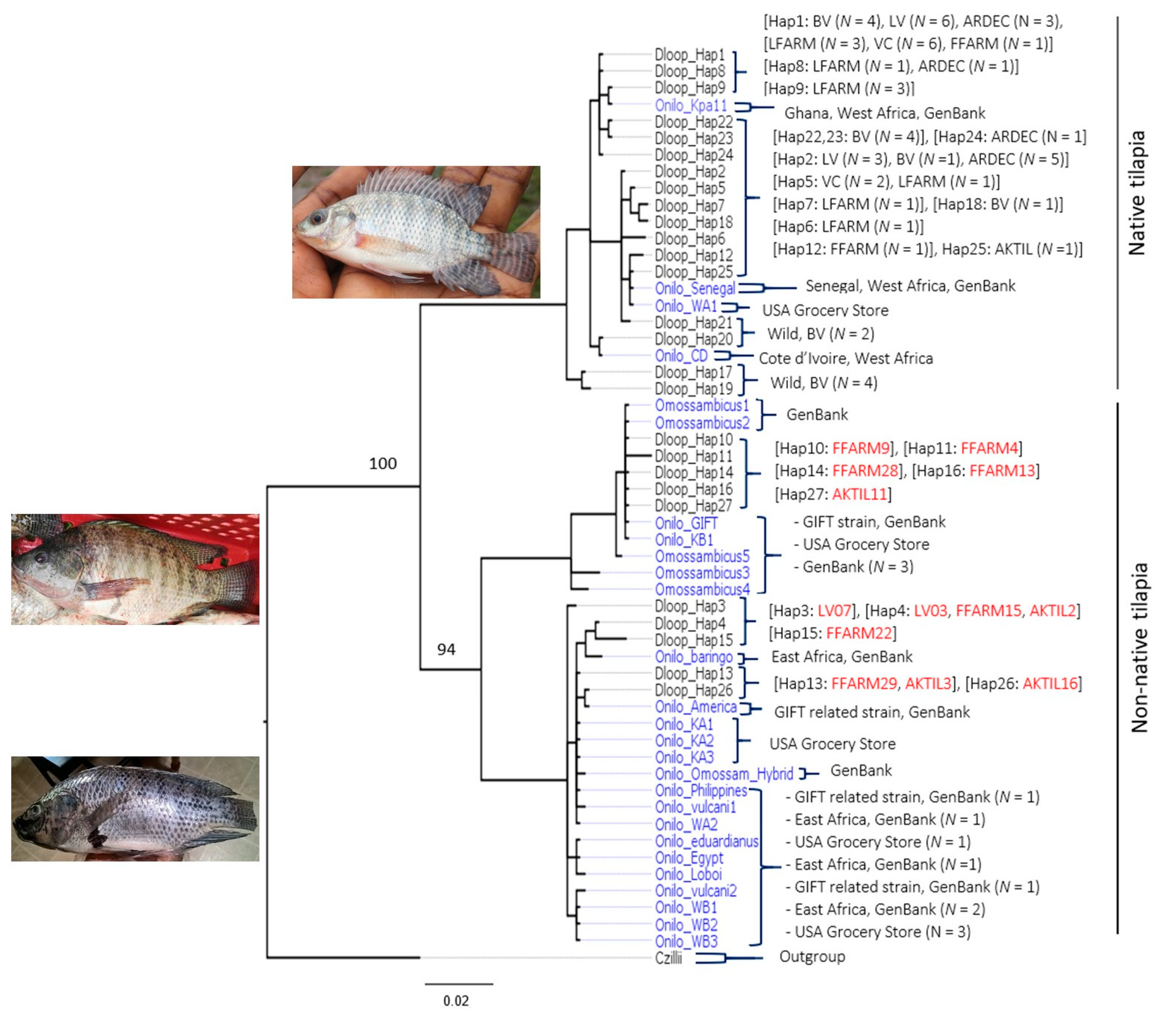 Diversity 11 00188 g002